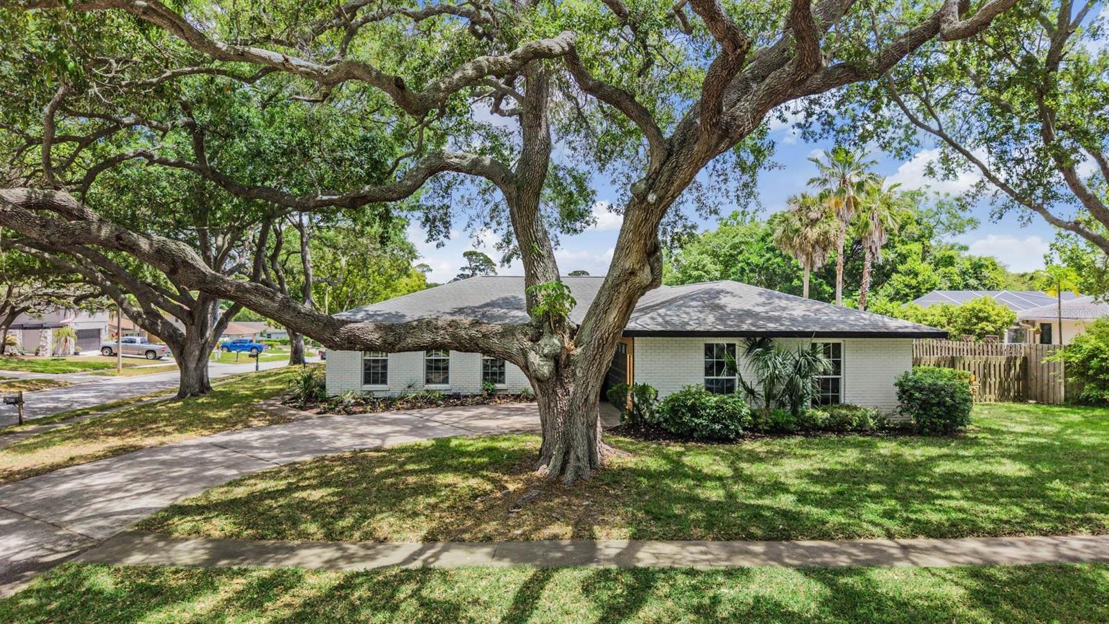 Listing photo id 52 for 848 Hillside Drive