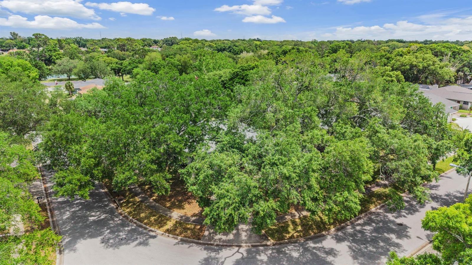 Listing photo id 53 for 848 Hillside Drive