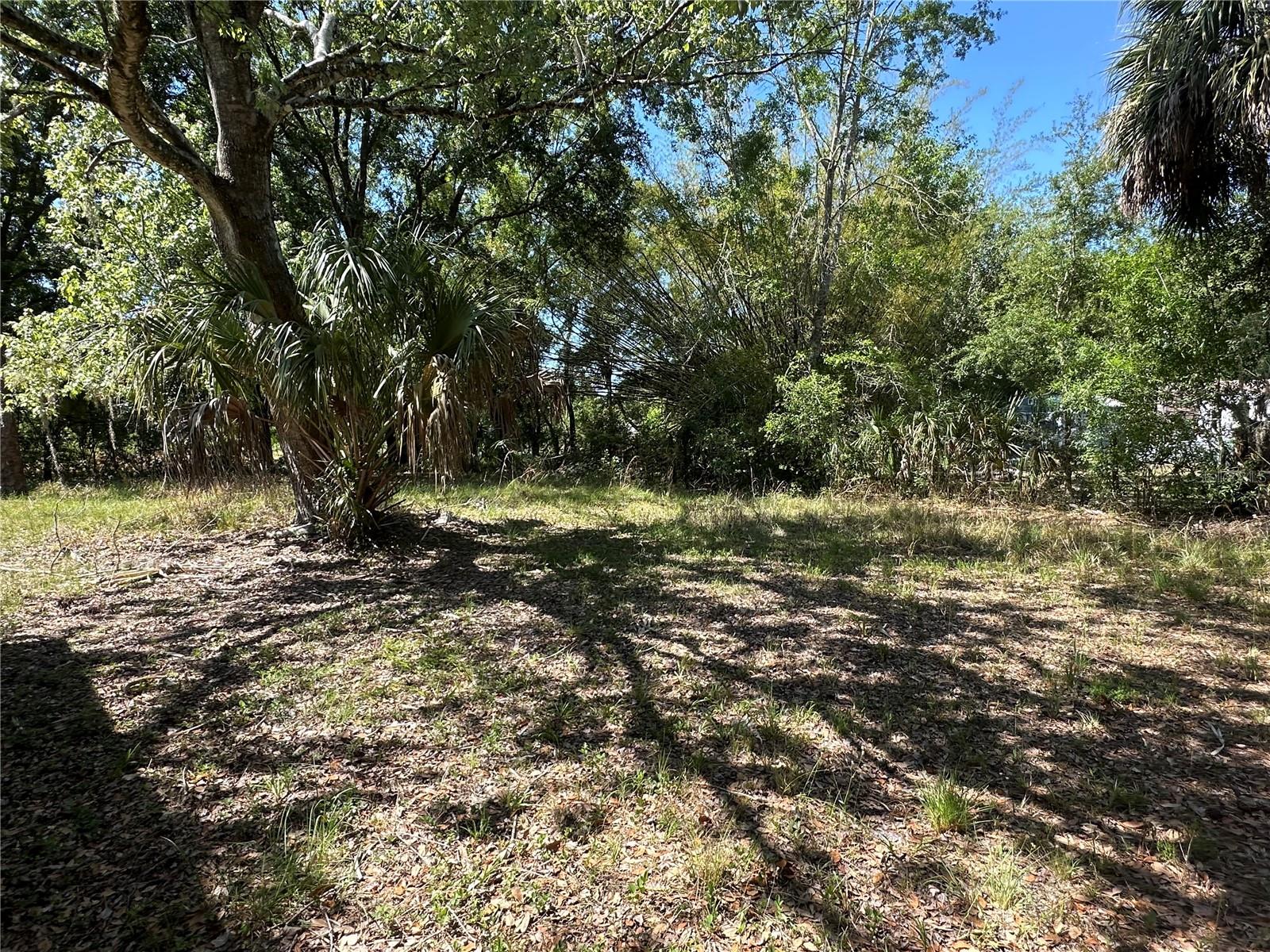 Image 6 of 22 For 26314 Glenwood Drive