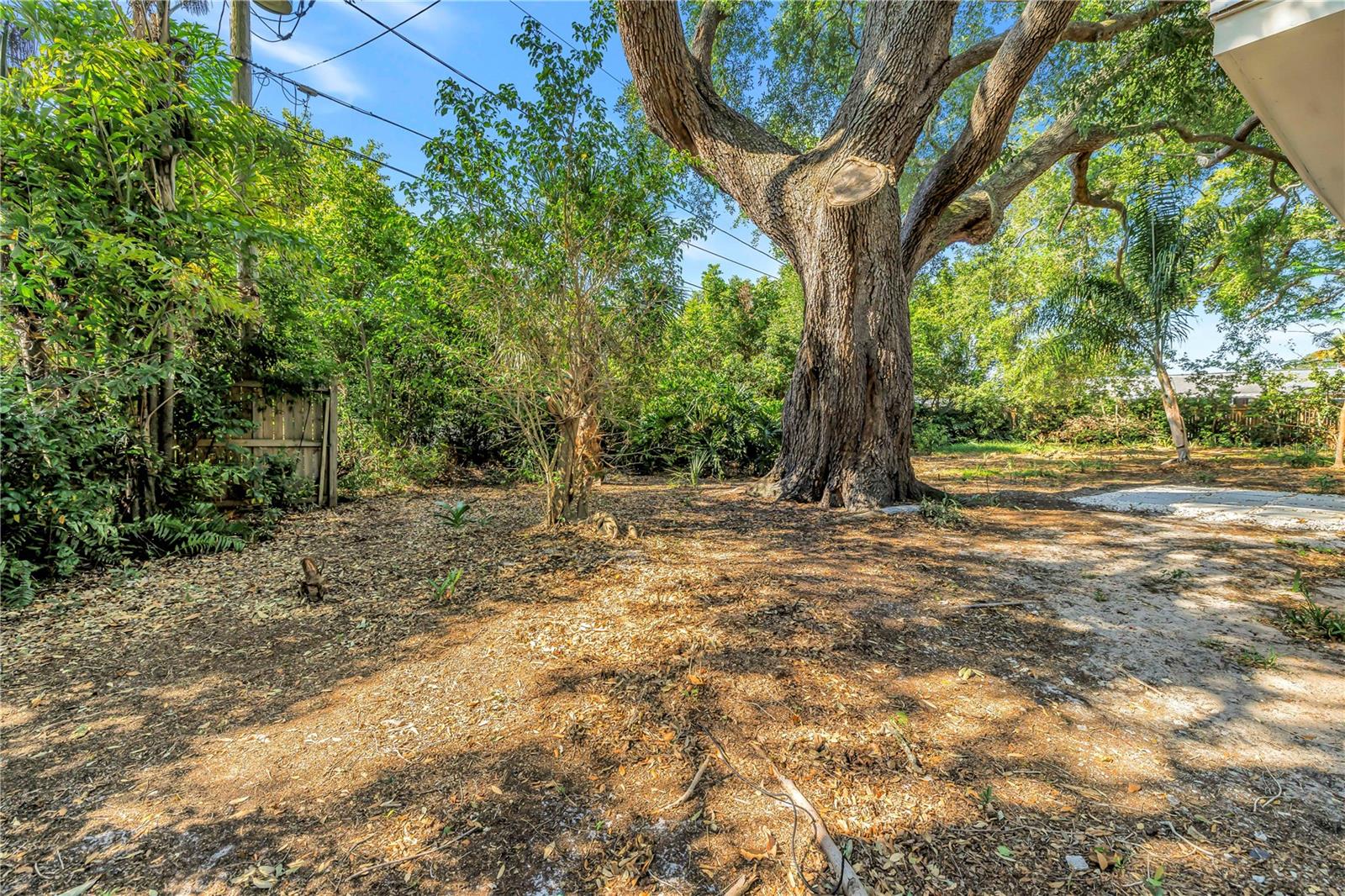 Image 42 of 44 For 2161 Hillwood Court