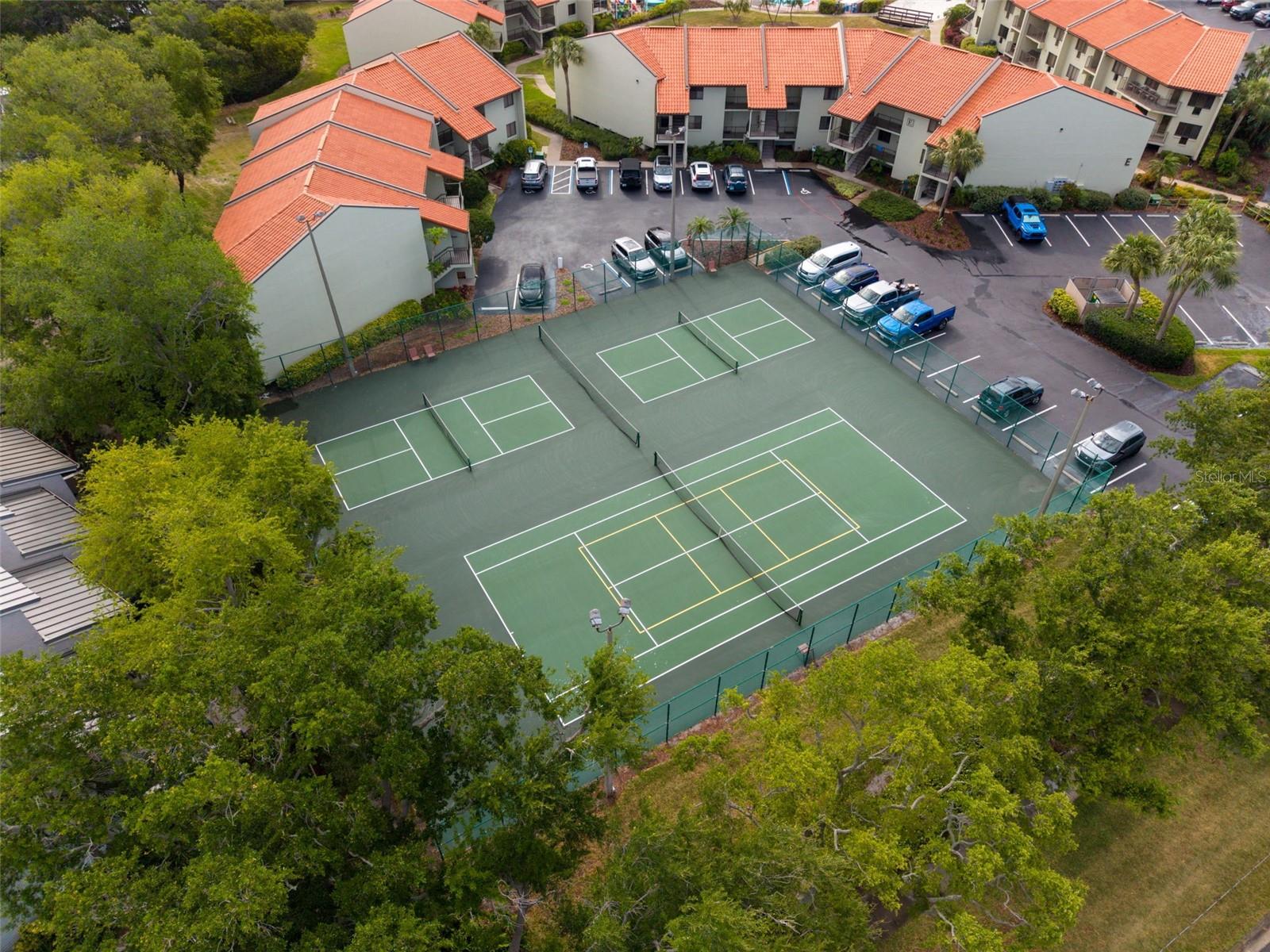 Image 47 of 50 For 1515 Pinellas Bayway S 14