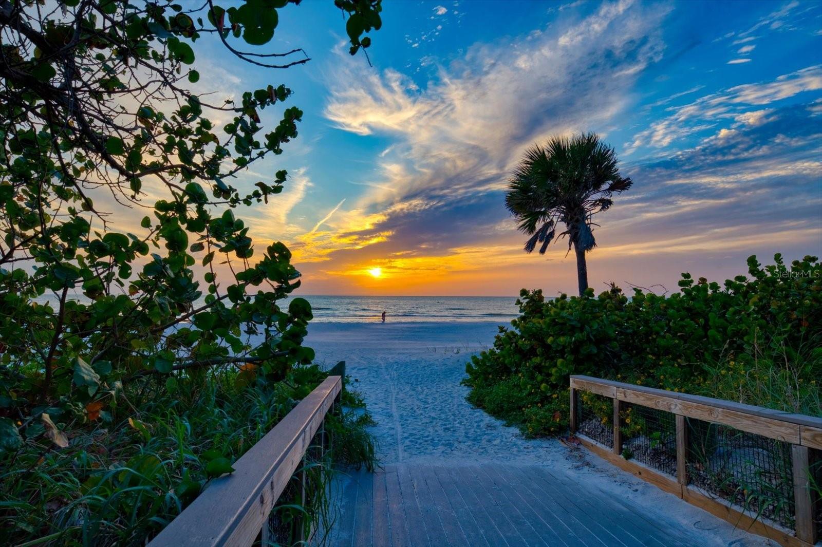 Image 35 of 49 For 900 Gulf Boulevard 204