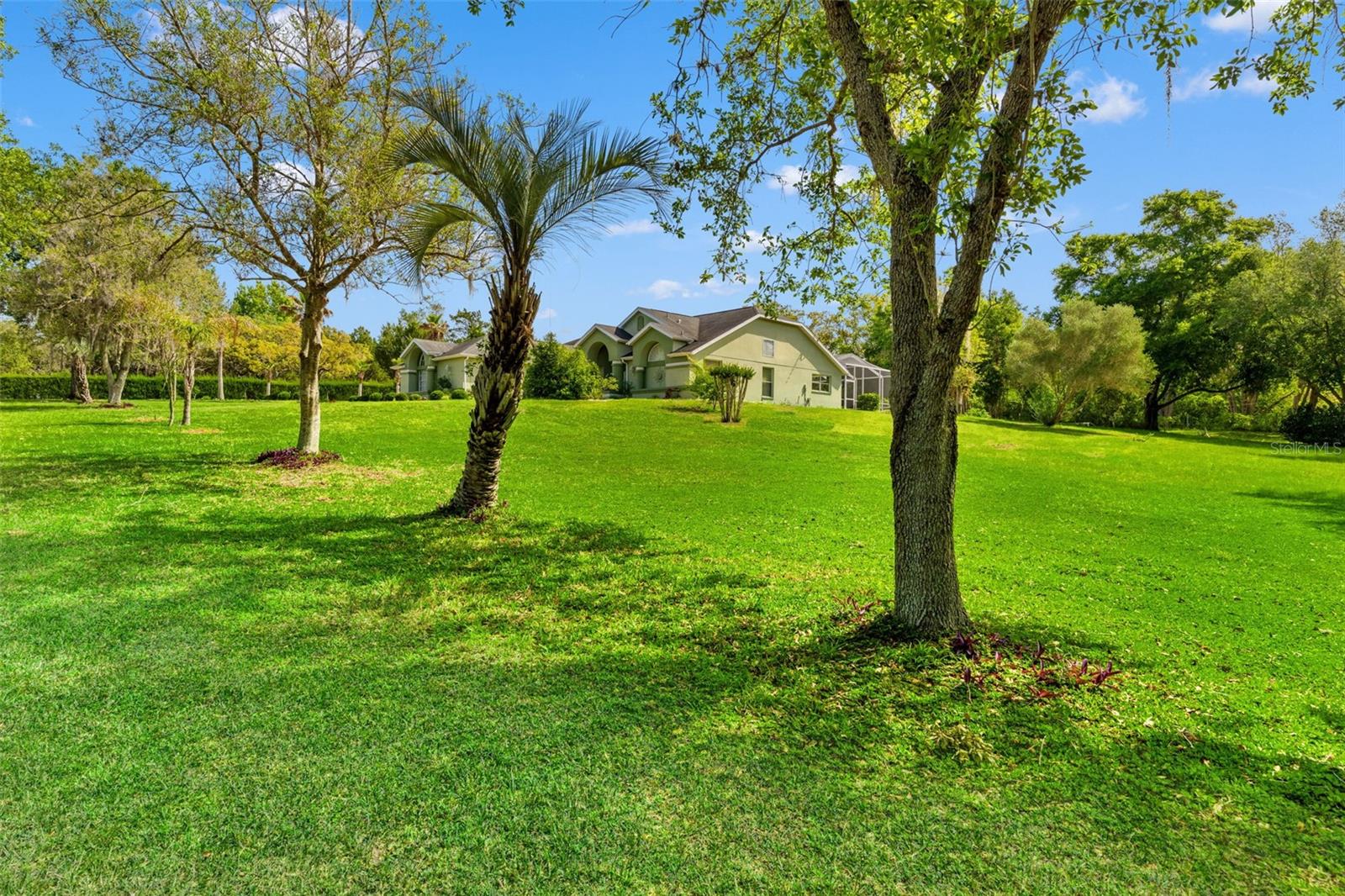 Image 41 of 80 For 9050 Weeping Willow Street