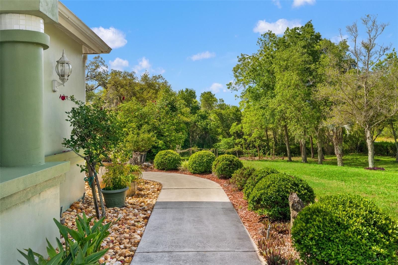 Image 48 of 80 For 9050 Weeping Willow Street