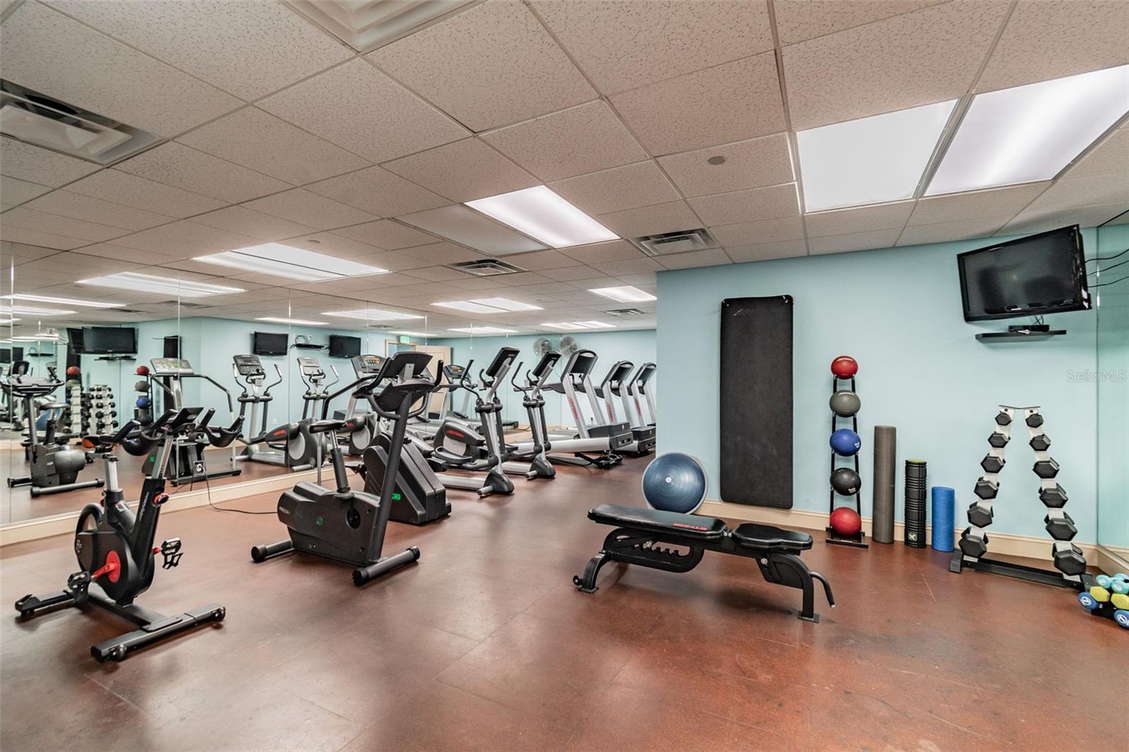 Image 31 of 66 For 345 Bayshore Boulevard 1510