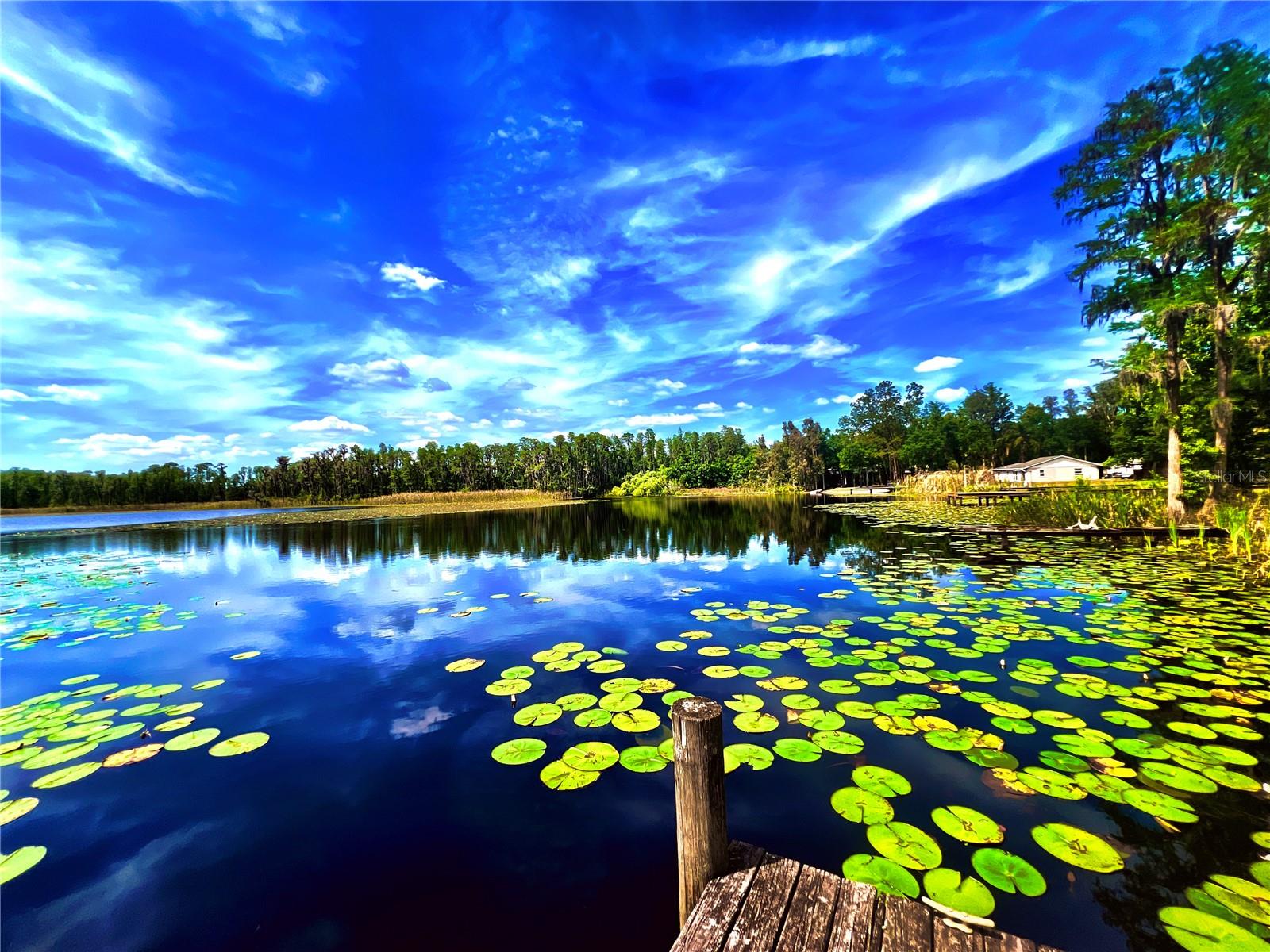 Image 38 of 43 For 1012 Kingsborough Gardens Court