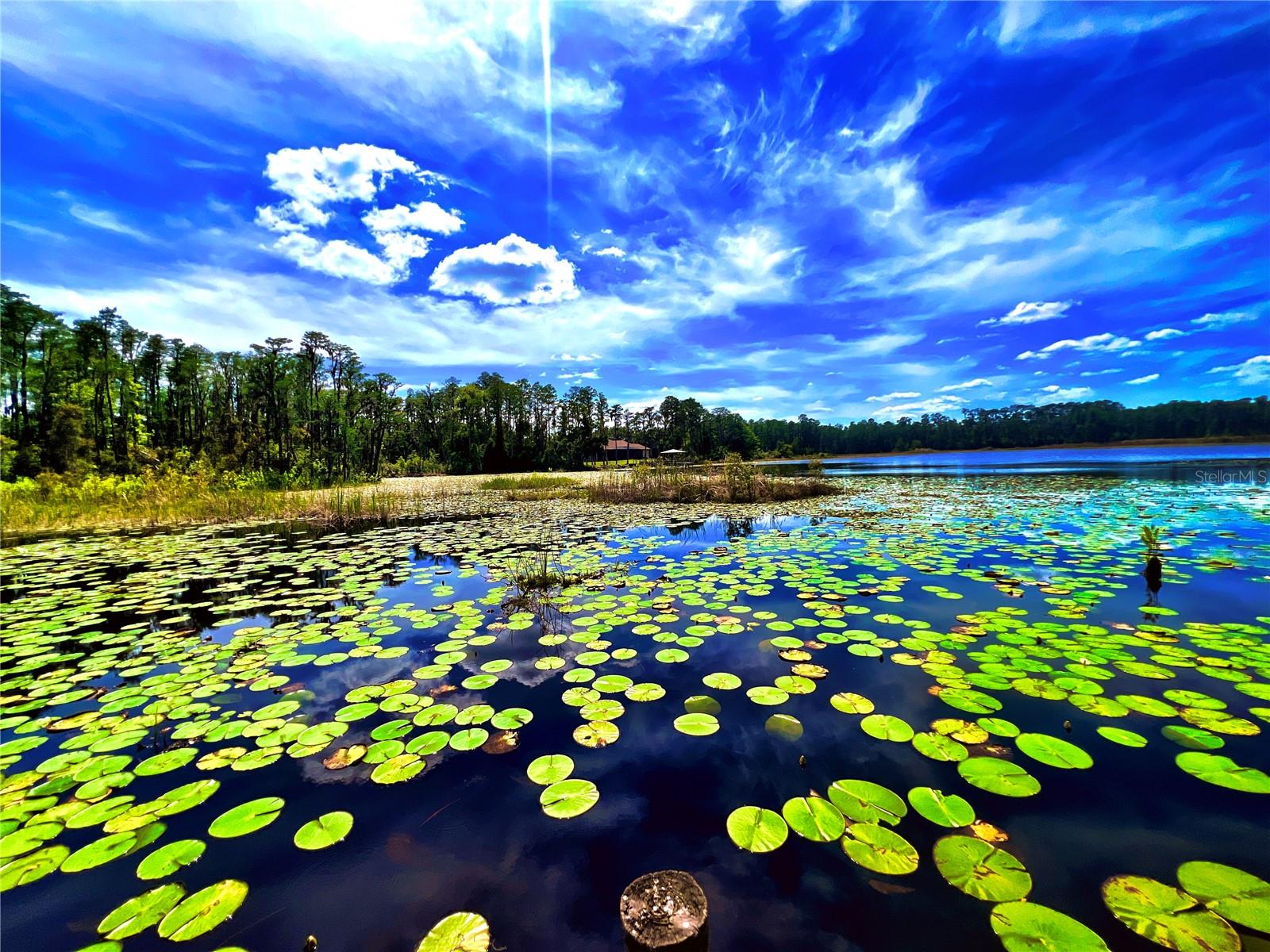 Image 39 of 43 For 1012 Kingsborough Gardens Court