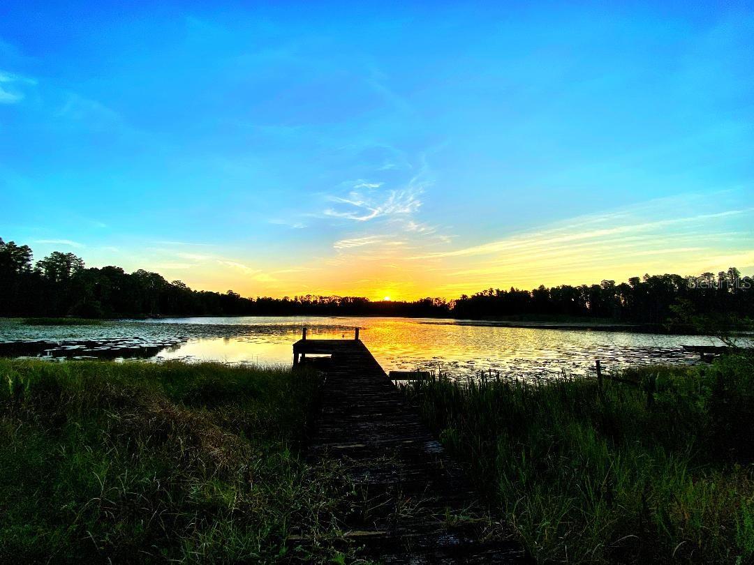 Image 42 of 43 For 1012 Kingsborough Gardens Court