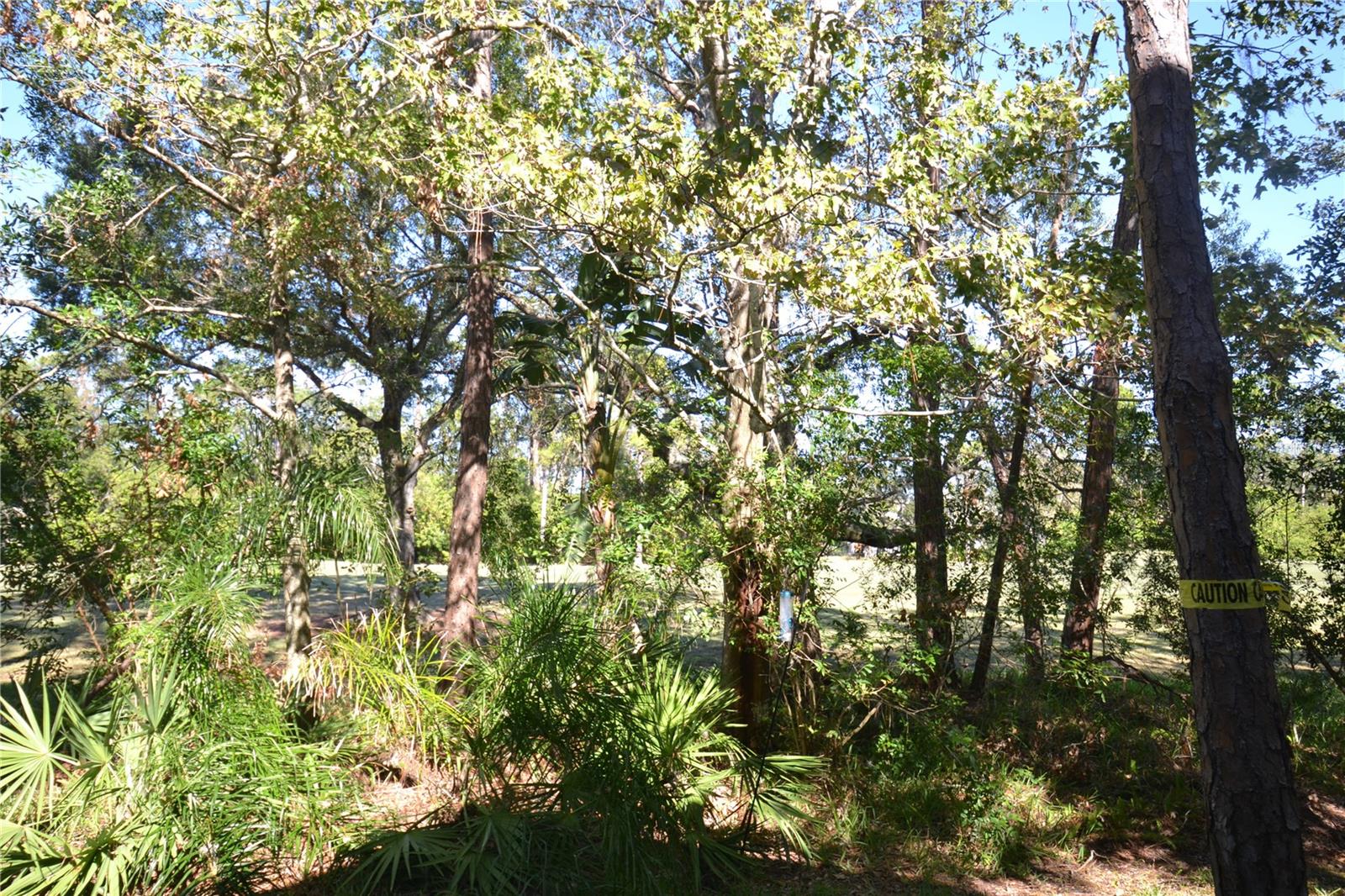 Image 63 of 73 For 112 Lindsay Lane