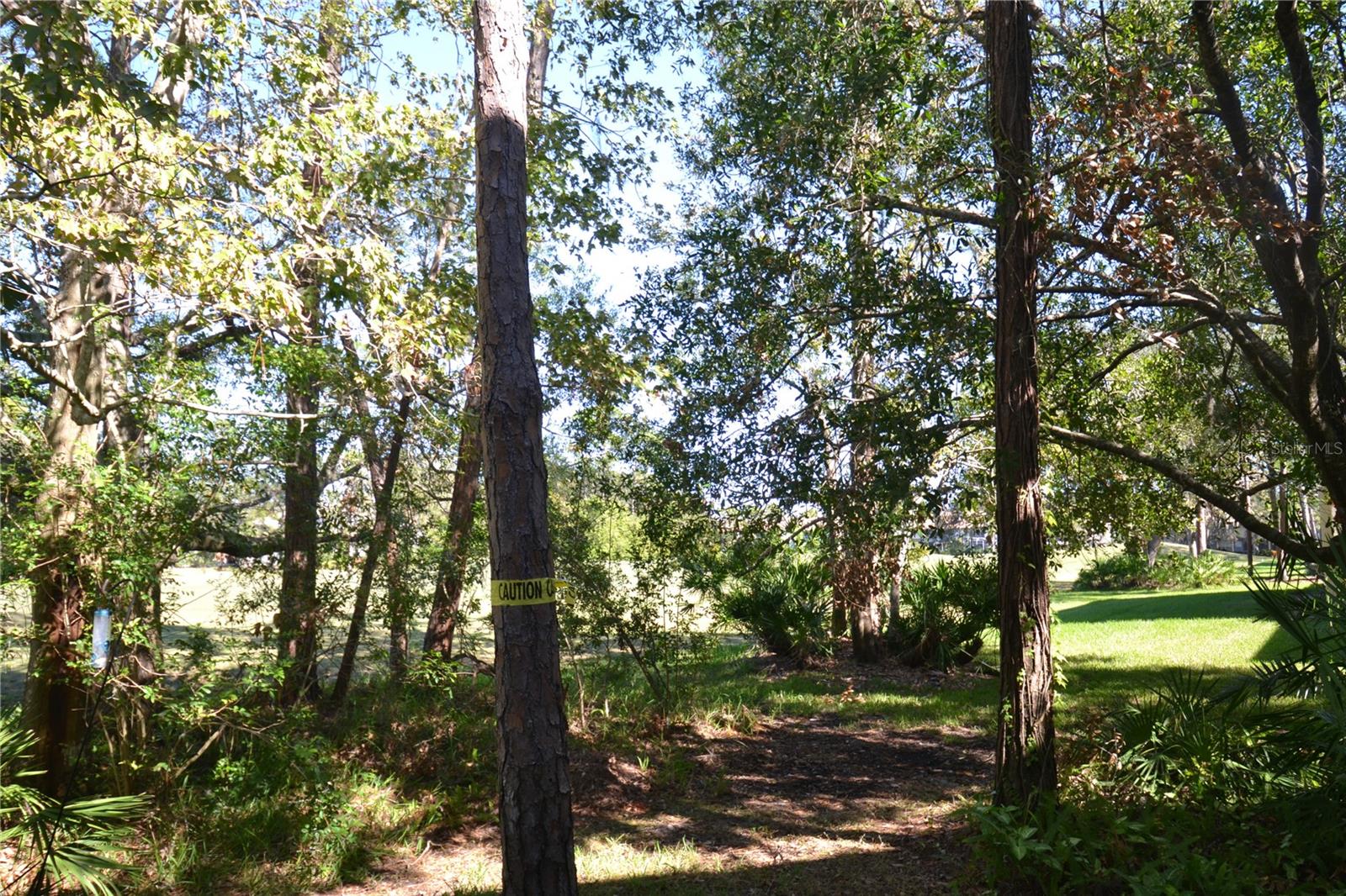 Image 64 of 73 For 112 Lindsay Lane