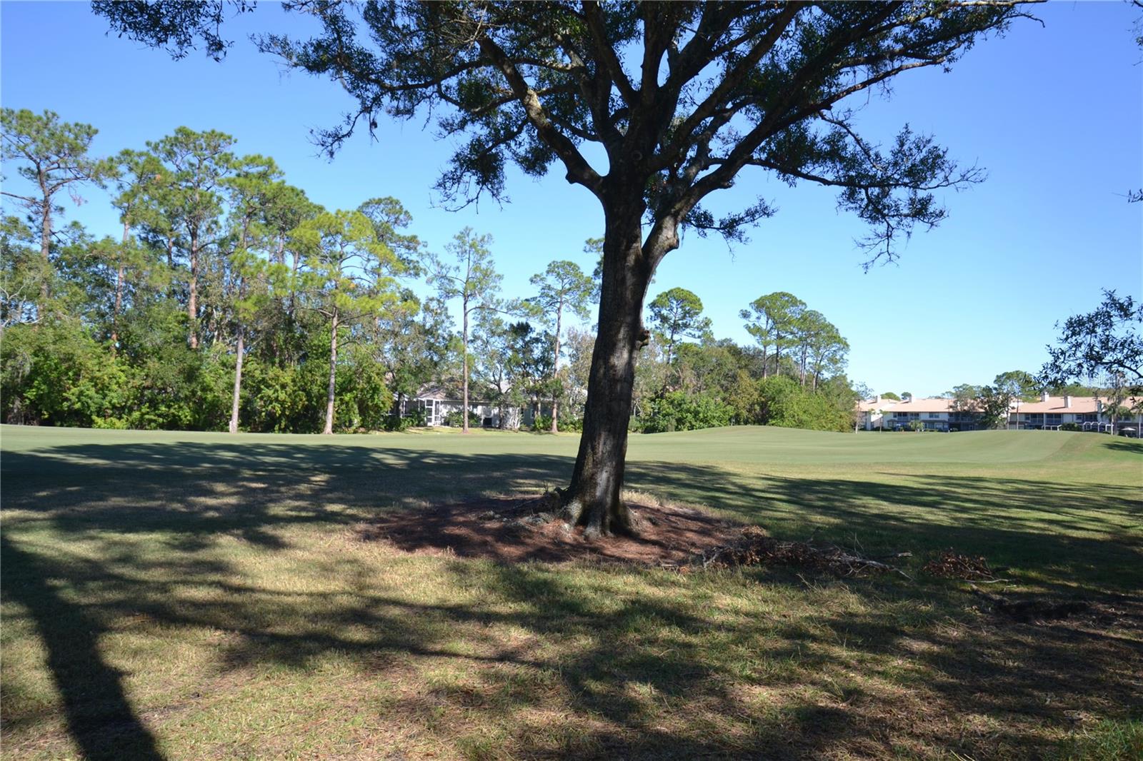 Image 67 of 73 For 112 Lindsay Lane