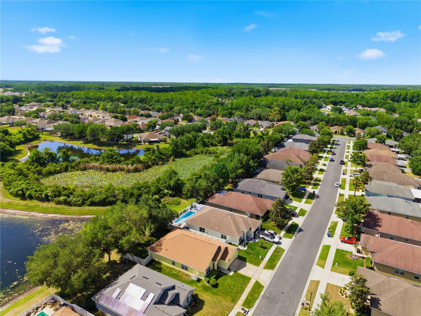Image 71 of 86 For 9551 Jaybird Lane
