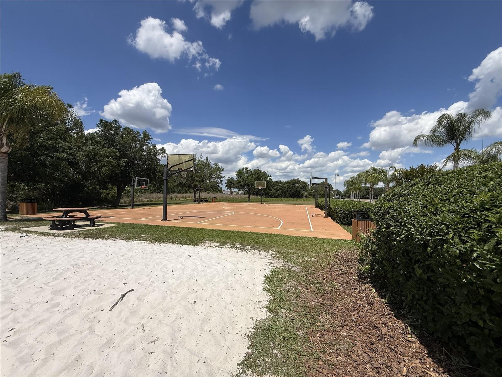 Image 80 of 86 For 9551 Jaybird Lane