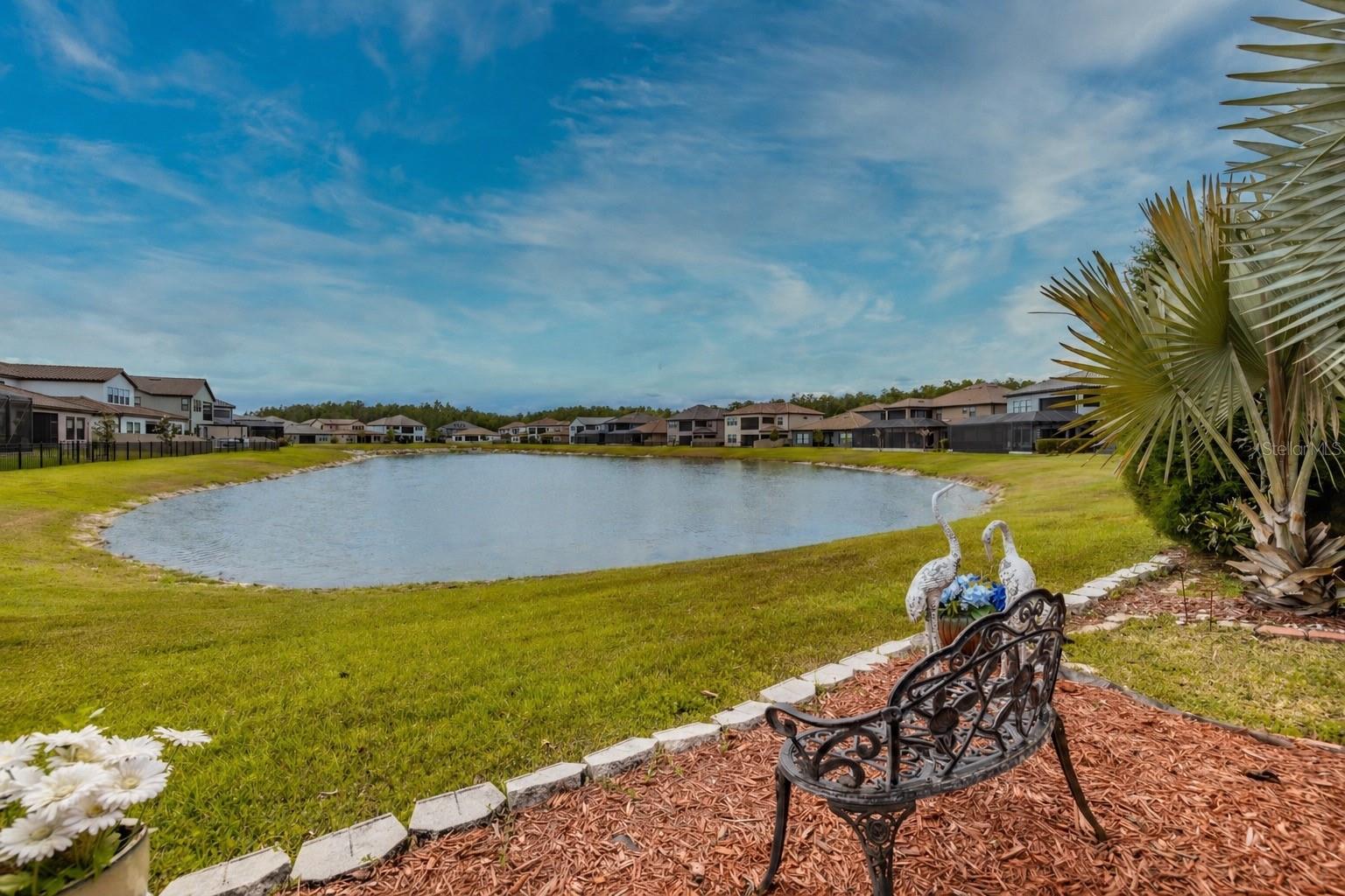 Image 56 of 85 For 29527 Picana Lane