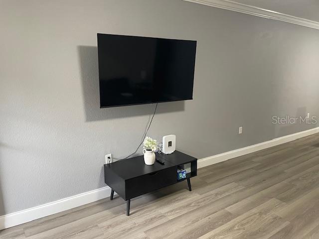 Image 5 of 15 For 5221 Bayshore Boulevard 1