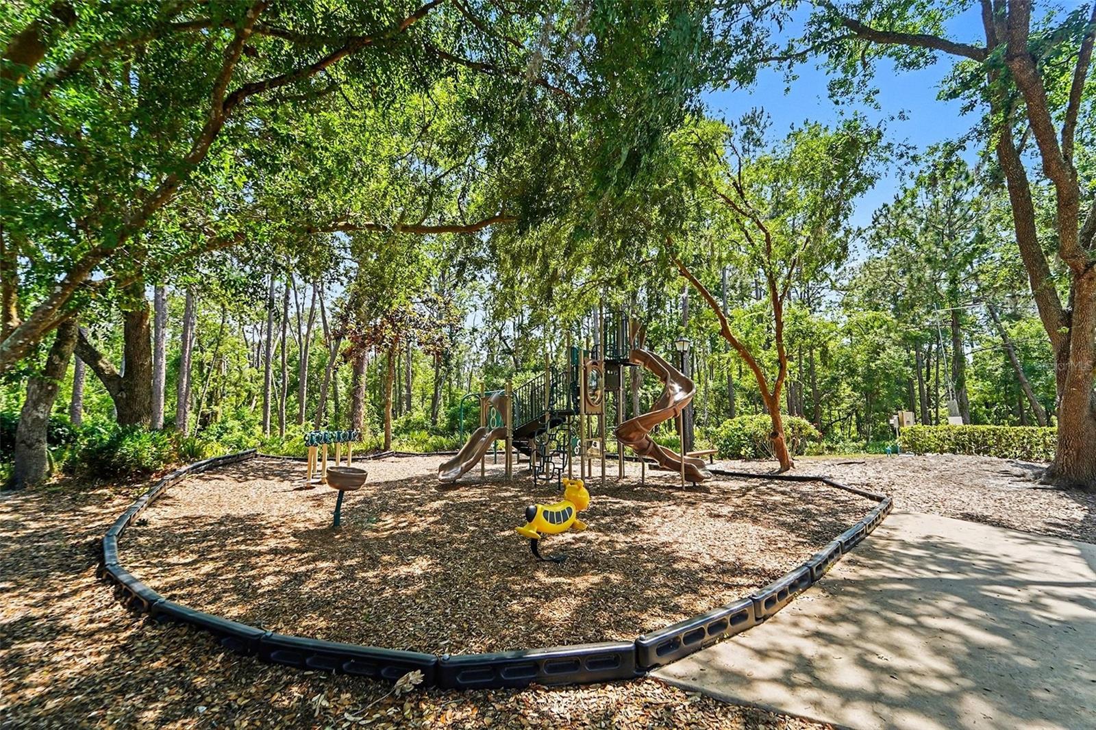 Image 27 of 29 For 19717 Wyndham Lakes Drive