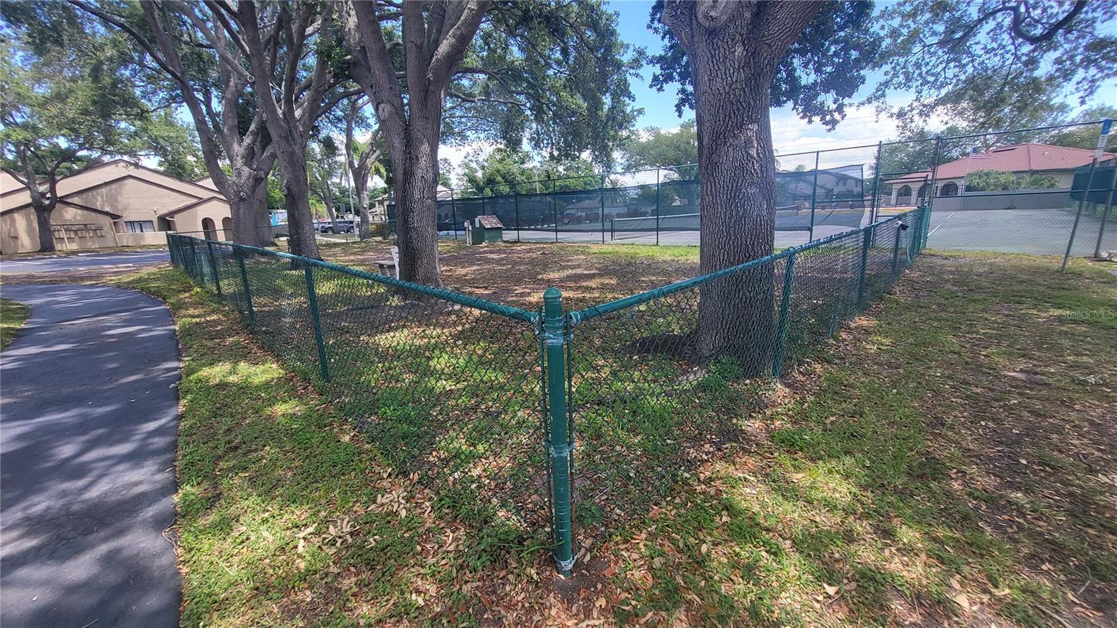 Image 30 of 40 For 6262 142nd Avenue N 905