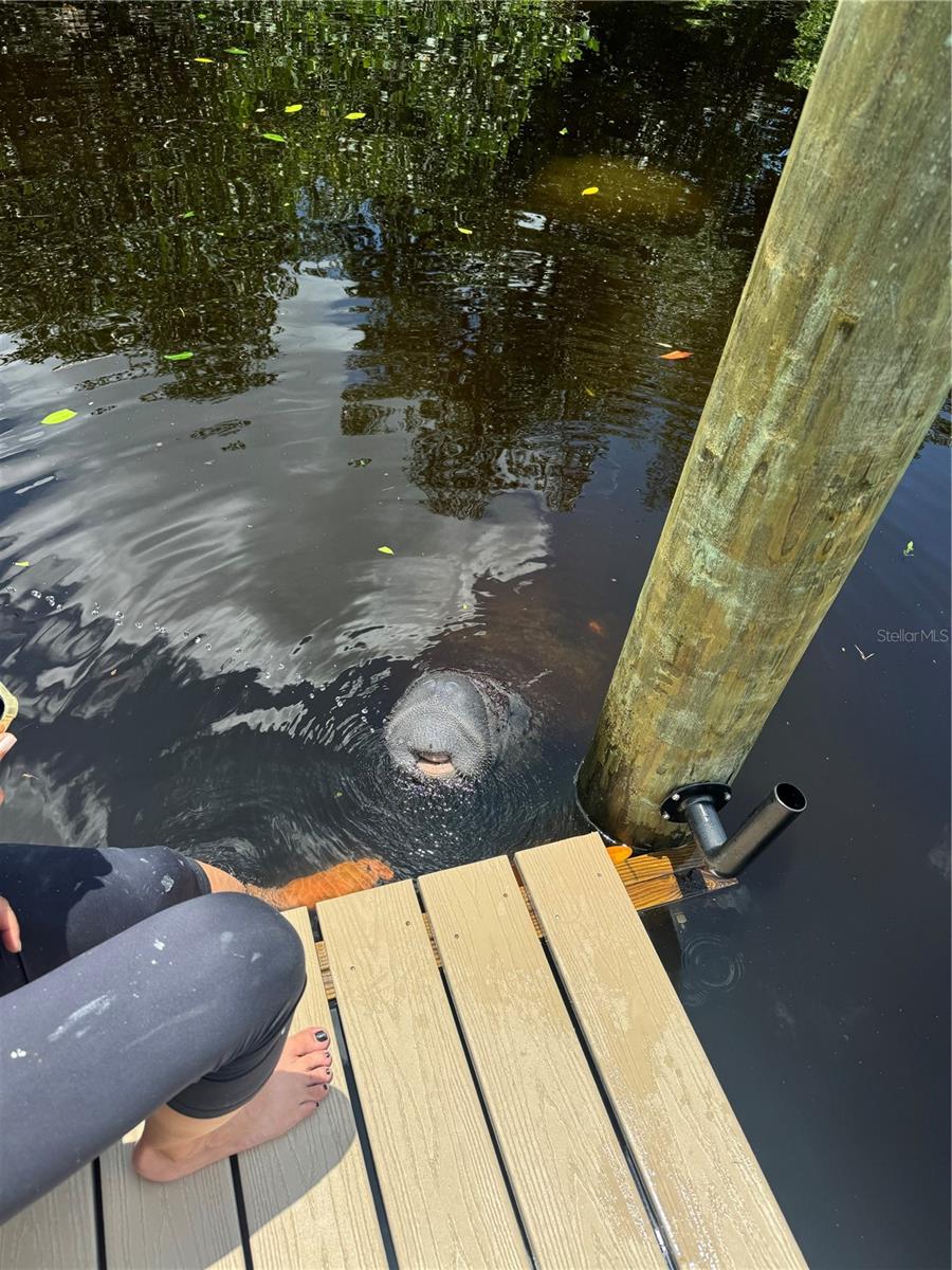 Image 10 of 42 For 265 96th Avenue N