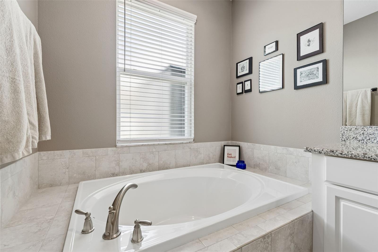 Listing photo id 57 for 18078 Romanesque Court