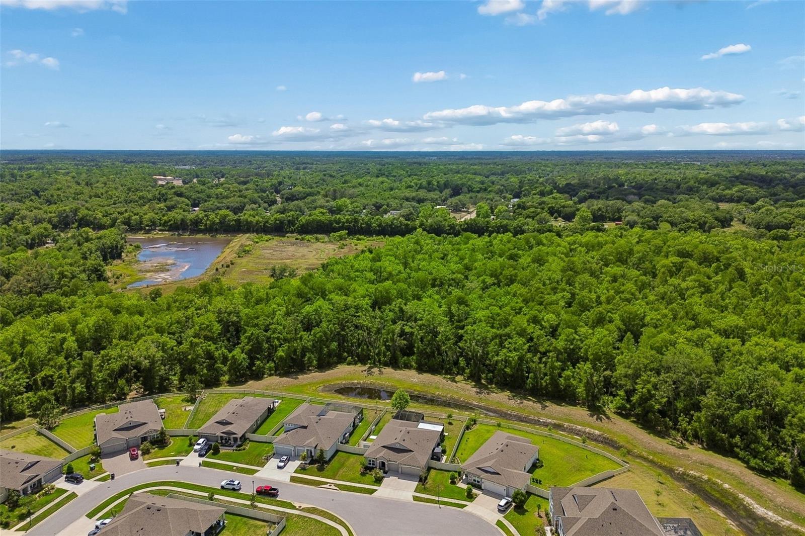 Listing photo id 85 for 18078 Romanesque Court