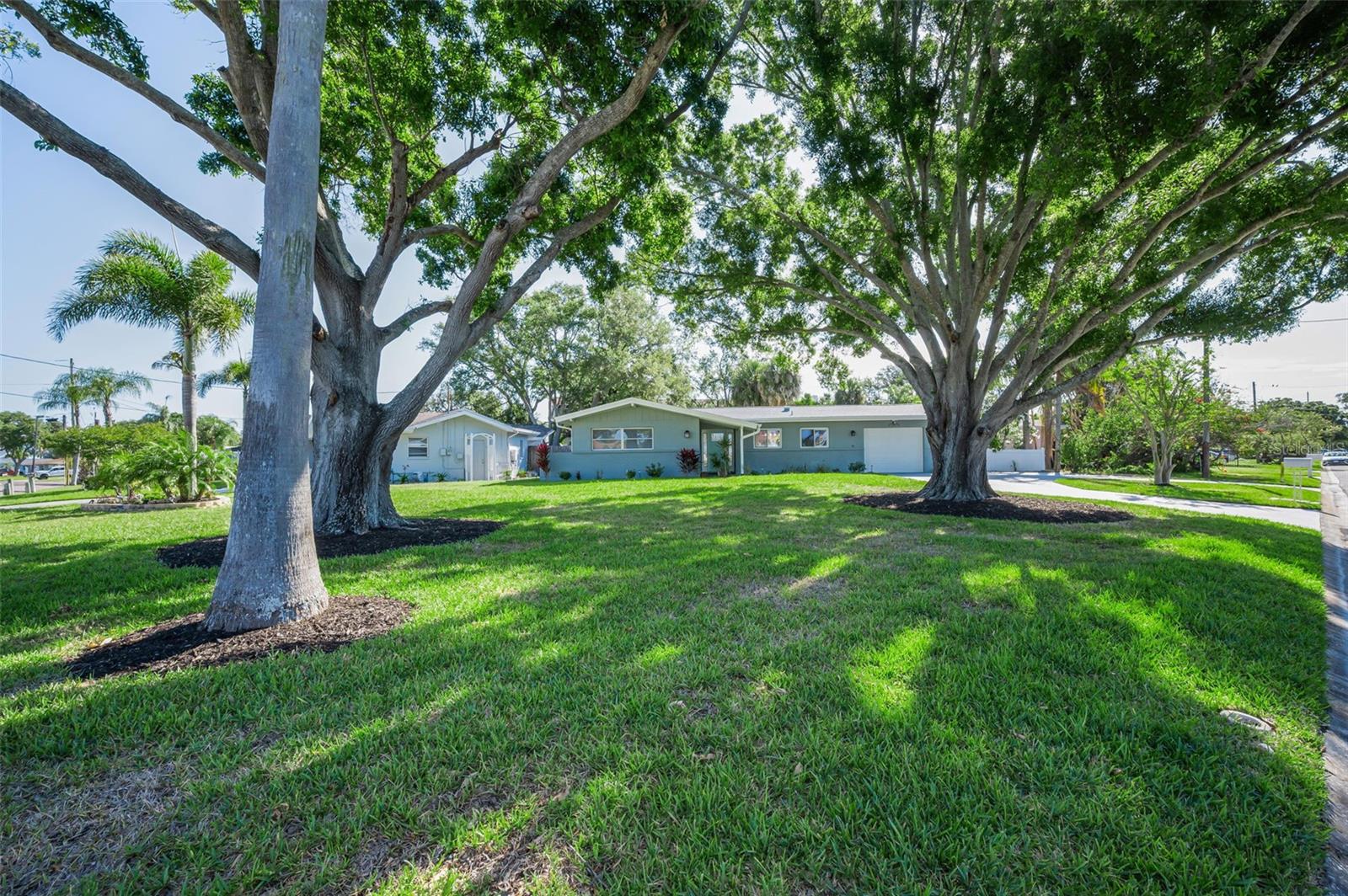 Image 37 of 55 For 94 Nicholas Drive