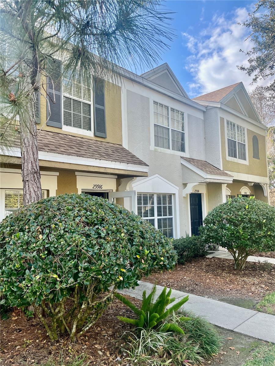 Details for 29916 Alta Vita Lane, WESLEY CHAPEL, FL 33543