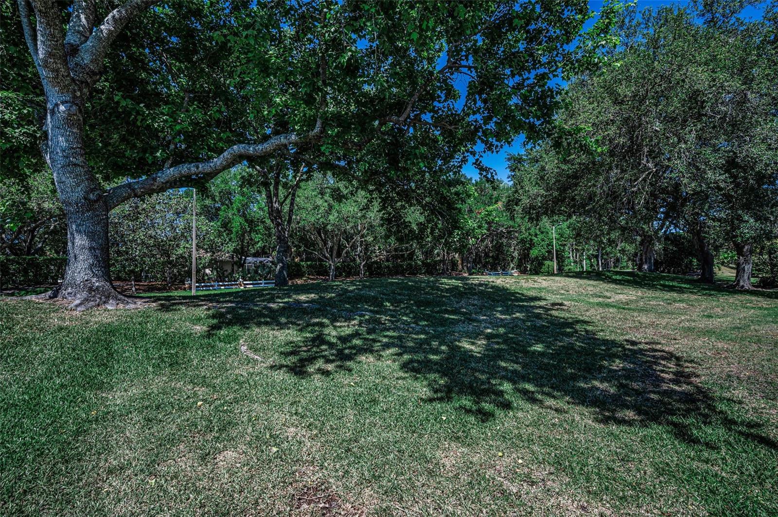 Listing photo id 30 for 2272 Warwick Drive