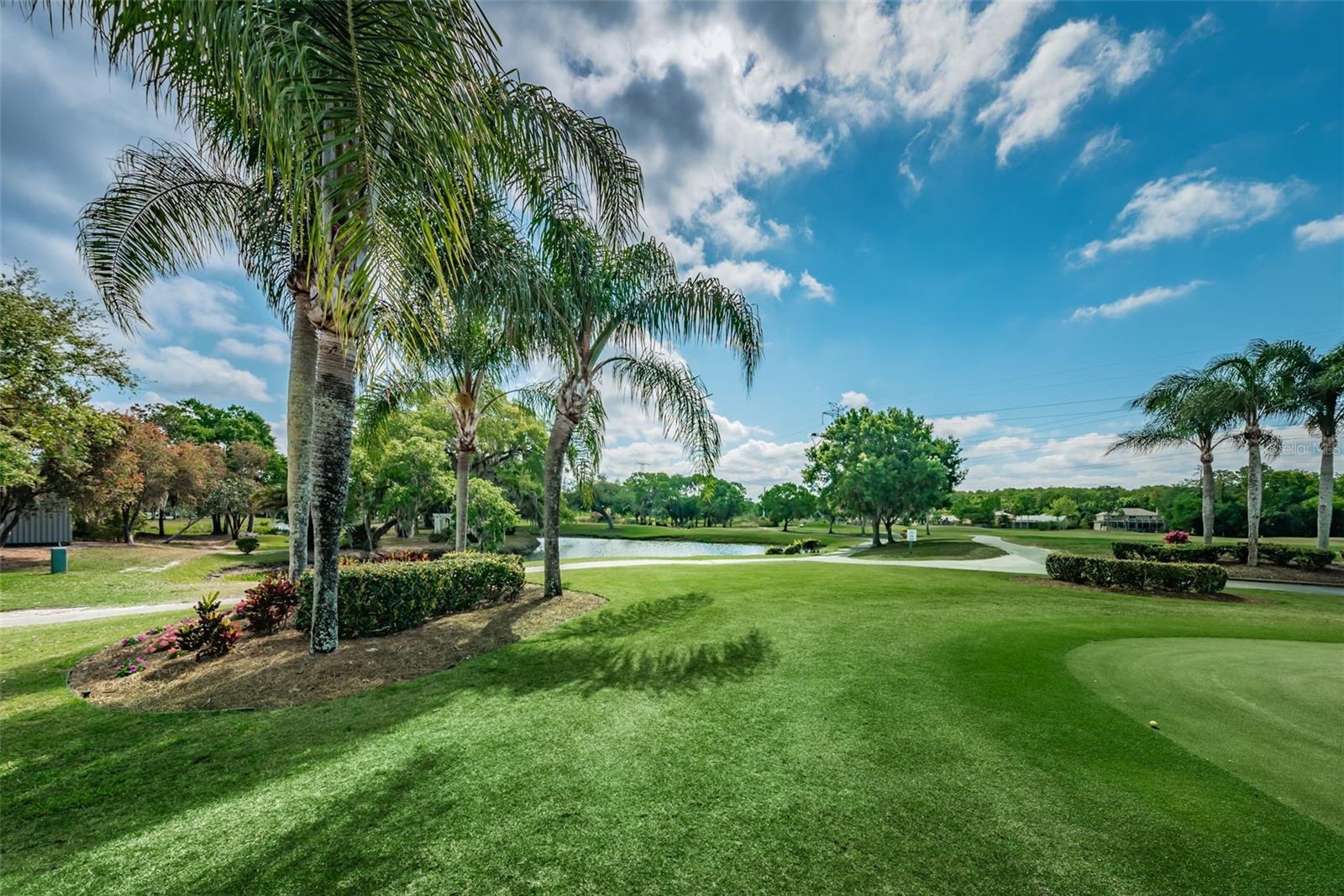 Listing photo id 36 for 2272 Warwick Drive