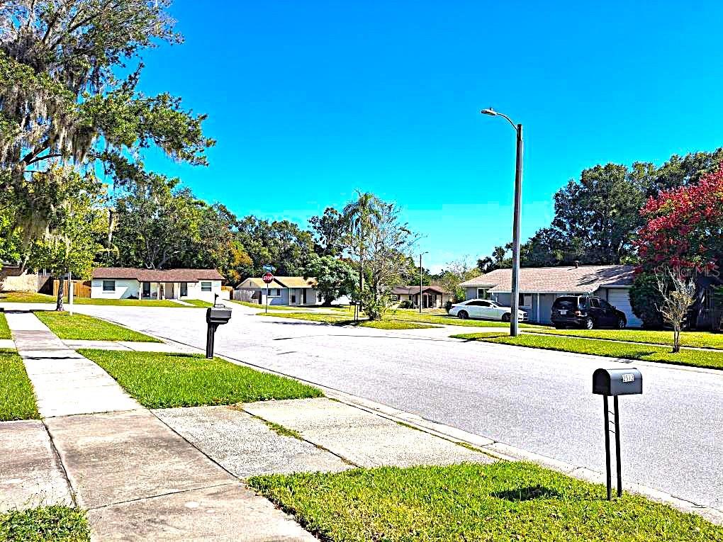 Image 17 of 25 For 2812 Dovewood Street