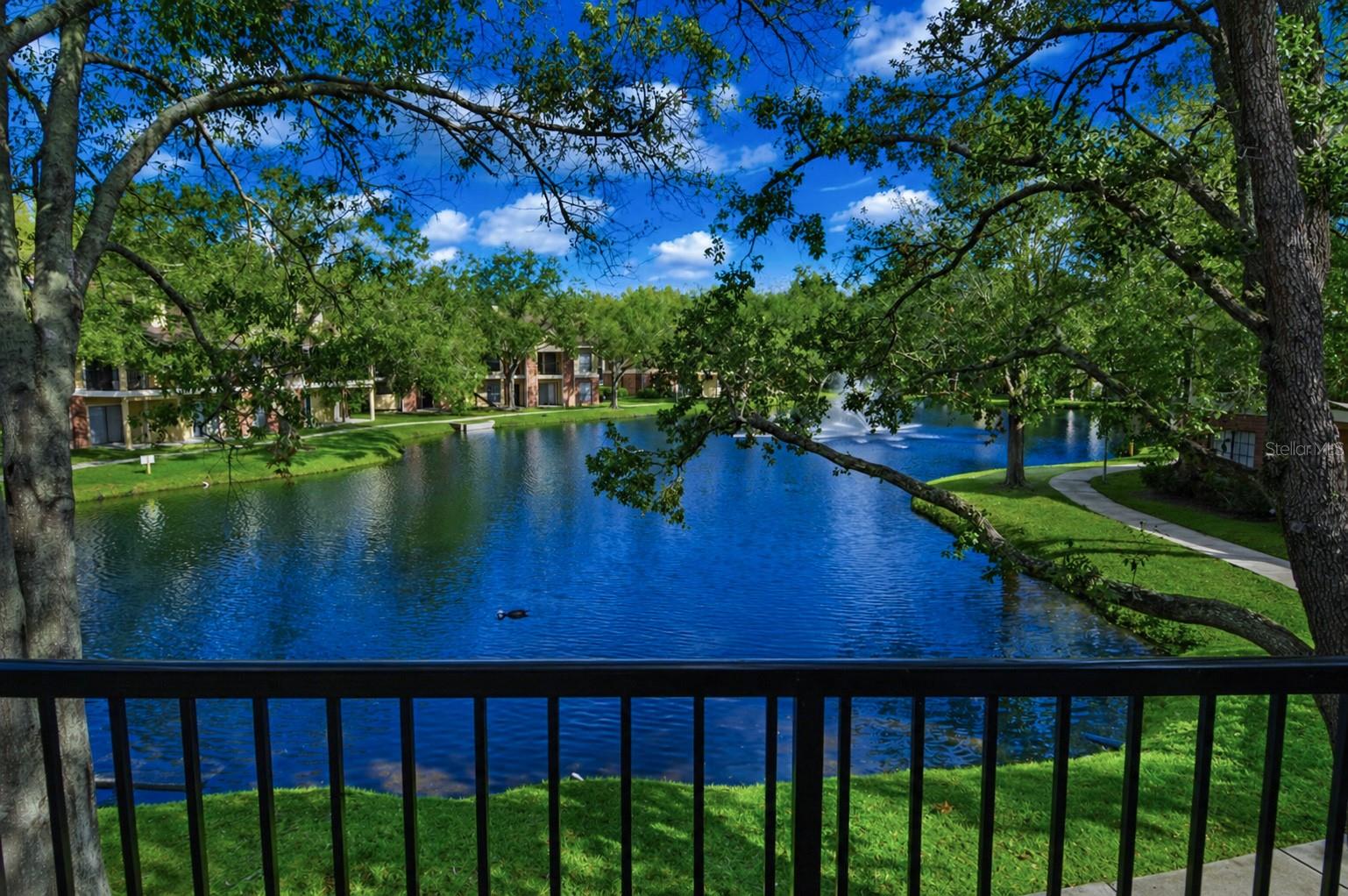 Image 39 of 95 For 8641 Fancy Finch Drive 204