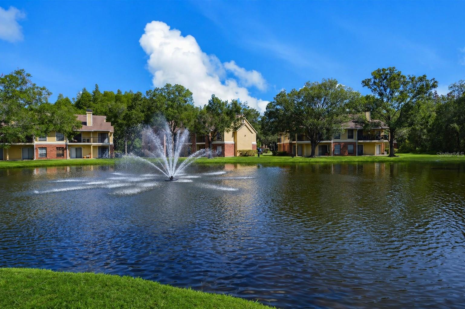 Image 47 of 95 For 8641 Fancy Finch Drive 204