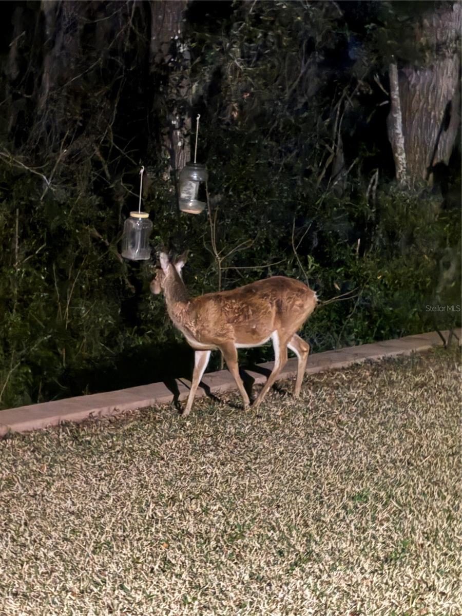 Image 43 of 46 For 19511 77th Loop