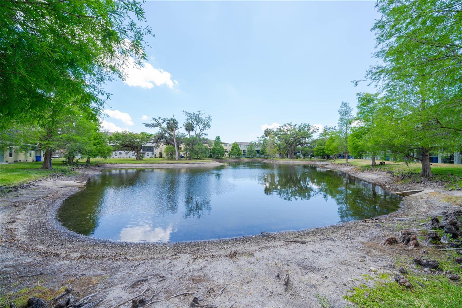 Image 25 of 30 For 4409 Tuscan Loon Drive