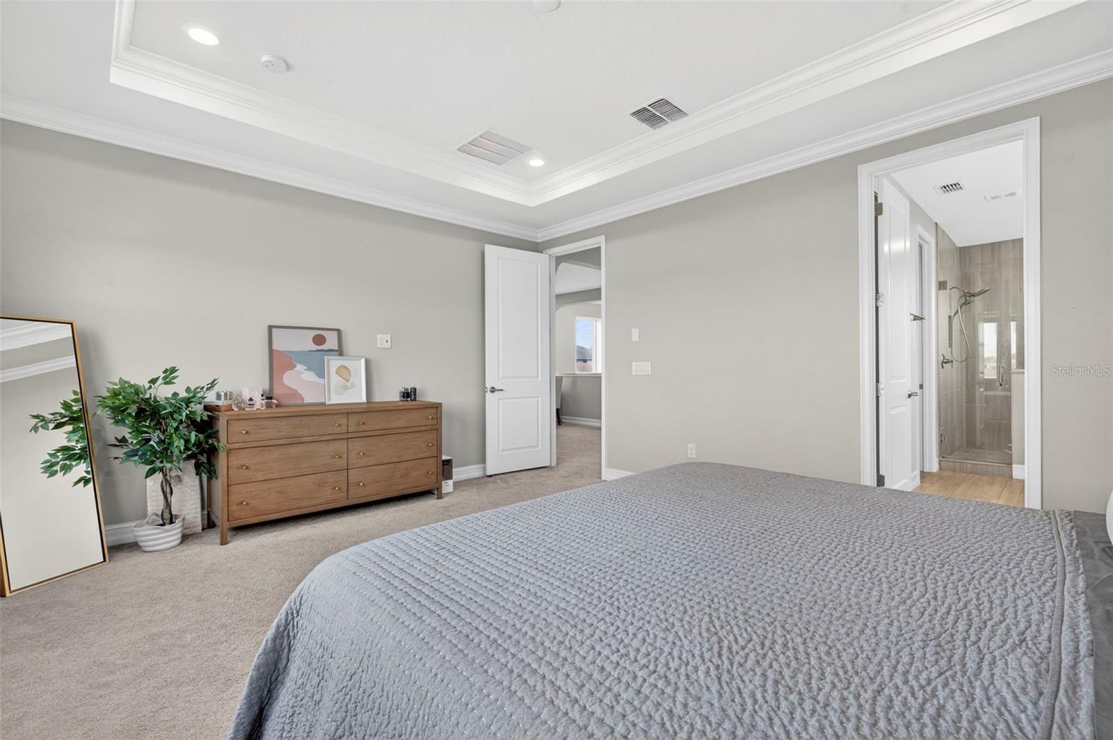 Image 42 of 74 For 4588 San Martino Drive