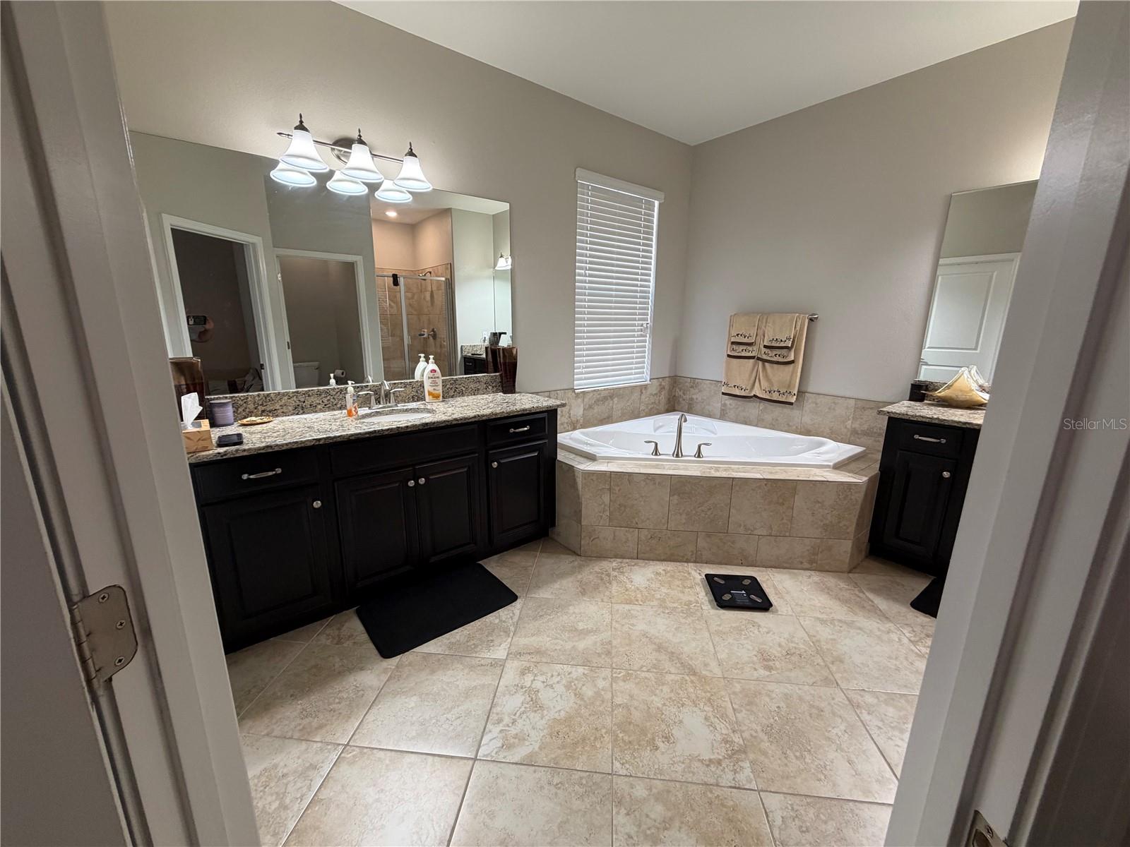 Image 8 of 18 For 13905 Roseate Tern Lane