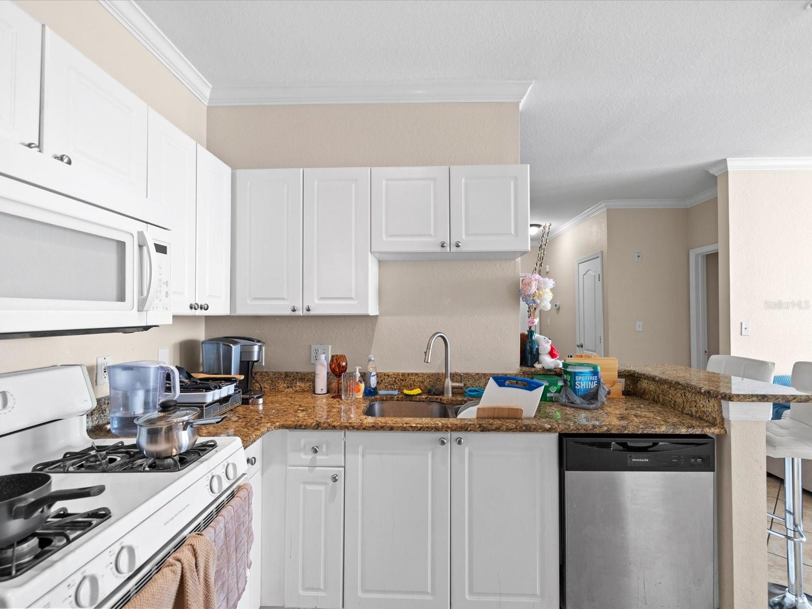 Listing photo id 4 for 2705 Via Murano  123