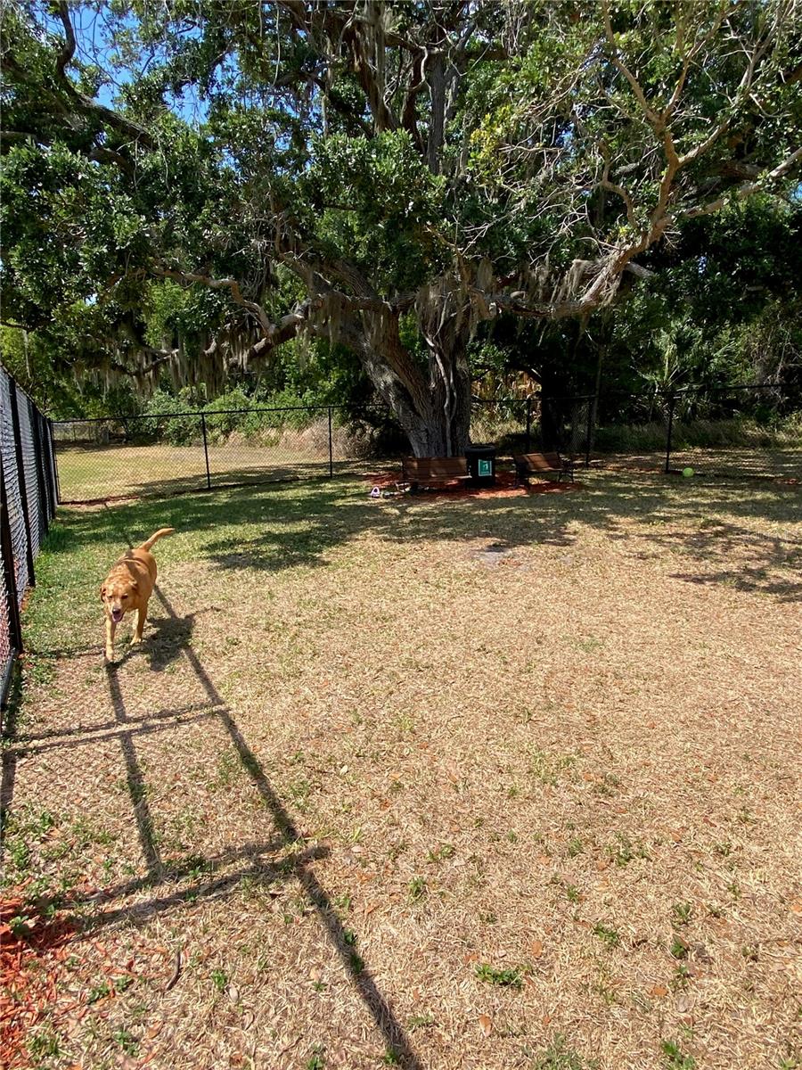 Image 56 of 65 For 8330 Fantasia Park Way