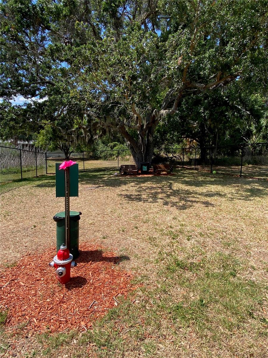 Image 59 of 65 For 8330 Fantasia Park Way
