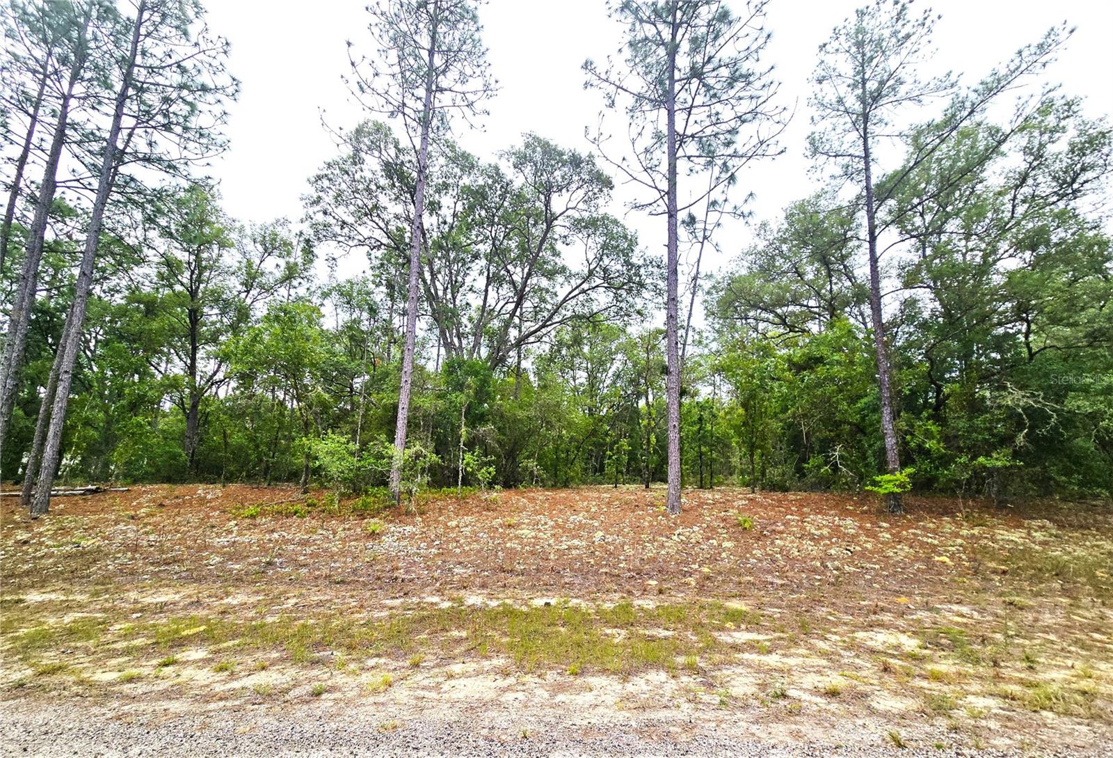 Details for 576 Nemo Drive, DUNNELLON, FL 34434