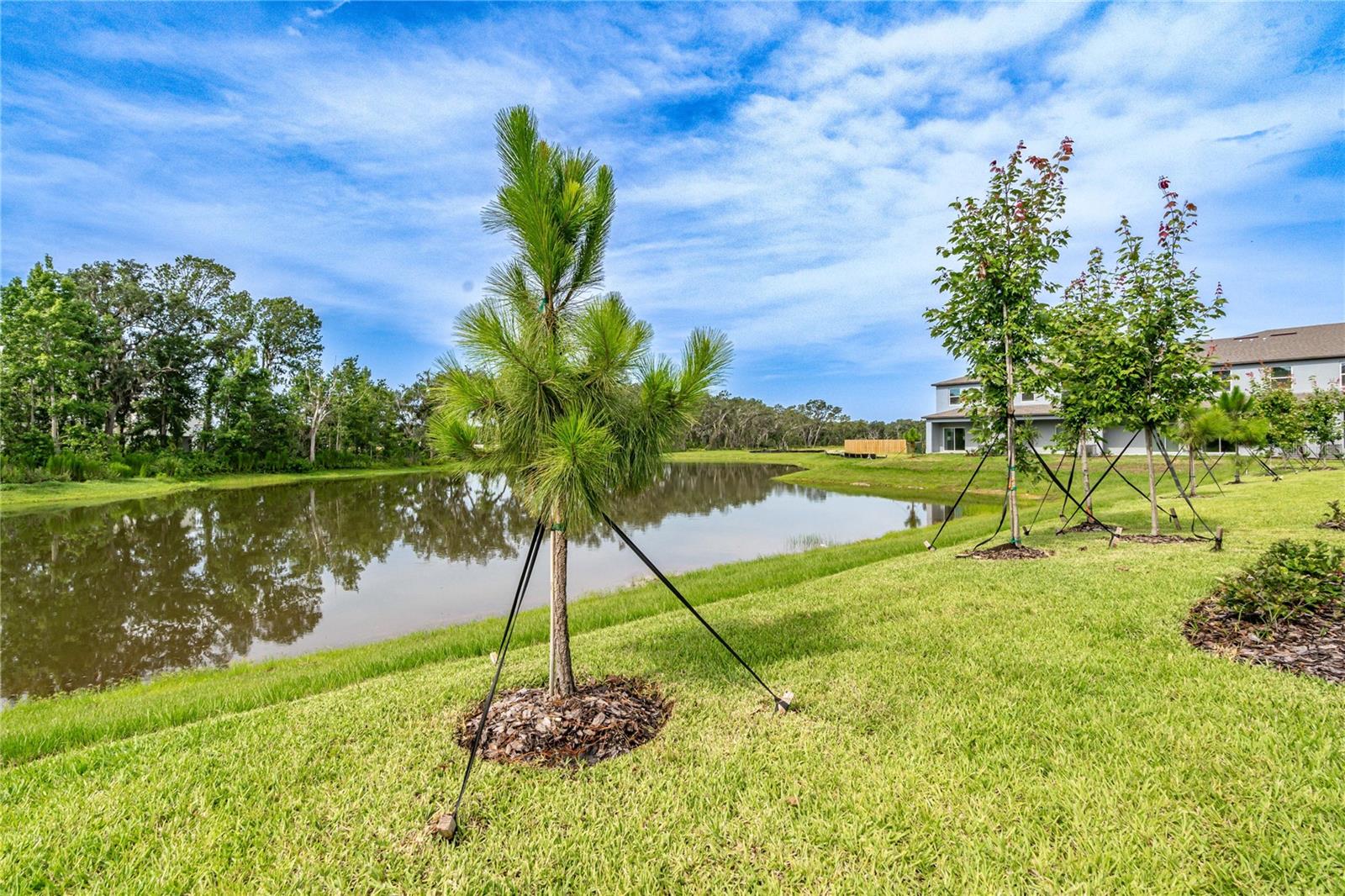 Image 21 of 38 For 5095 Capri Harbor Drive