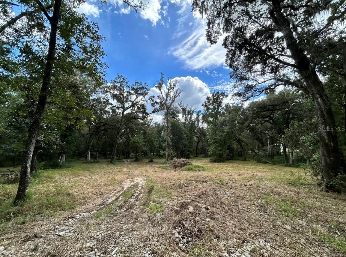 Image 13 of 18 For 33234 Chipco Ranch Road