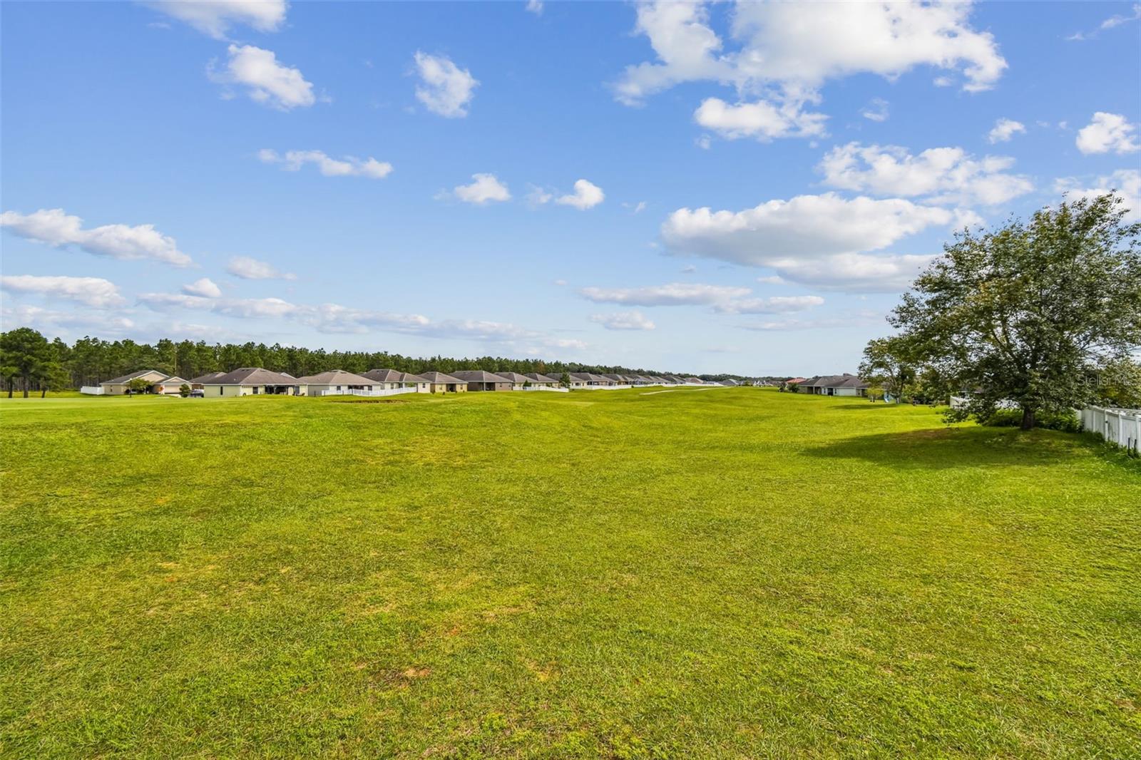 Image 42 of 62 For 30821 Water Lily Drive