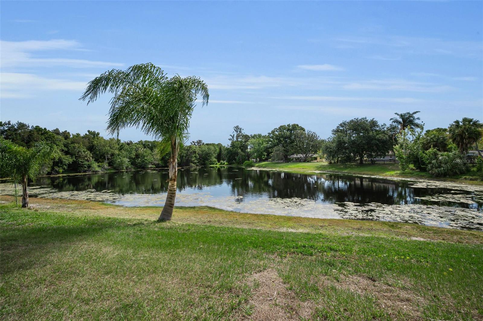 Details for 409 Graham Drive, CLEARWATER, FL 33765