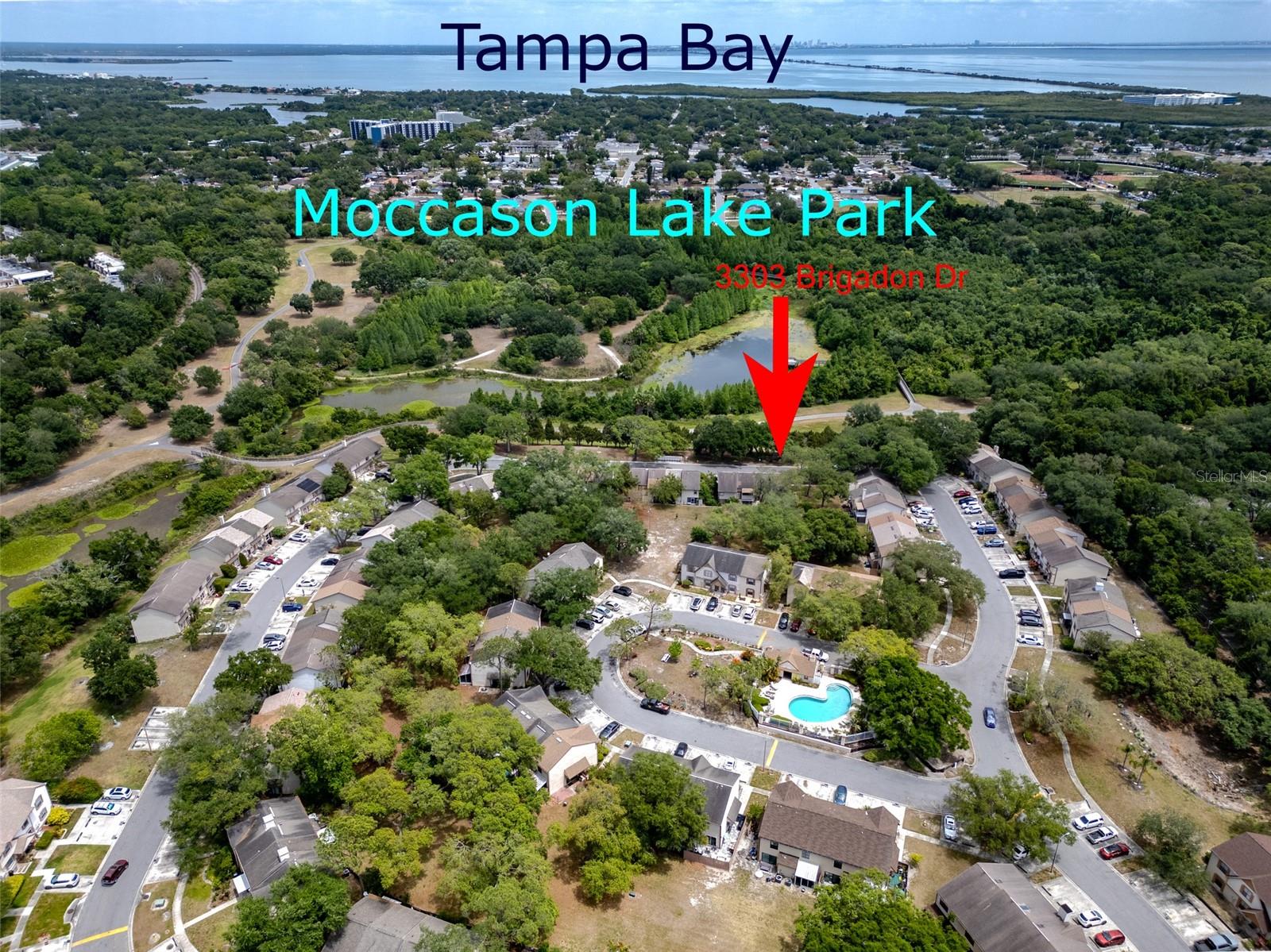 Listing photo id 43 for 3303 Brigadoon Drive