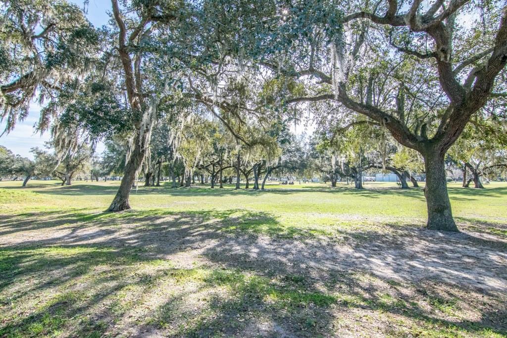 Image 35 of 45 For 36620 Kay Avenue