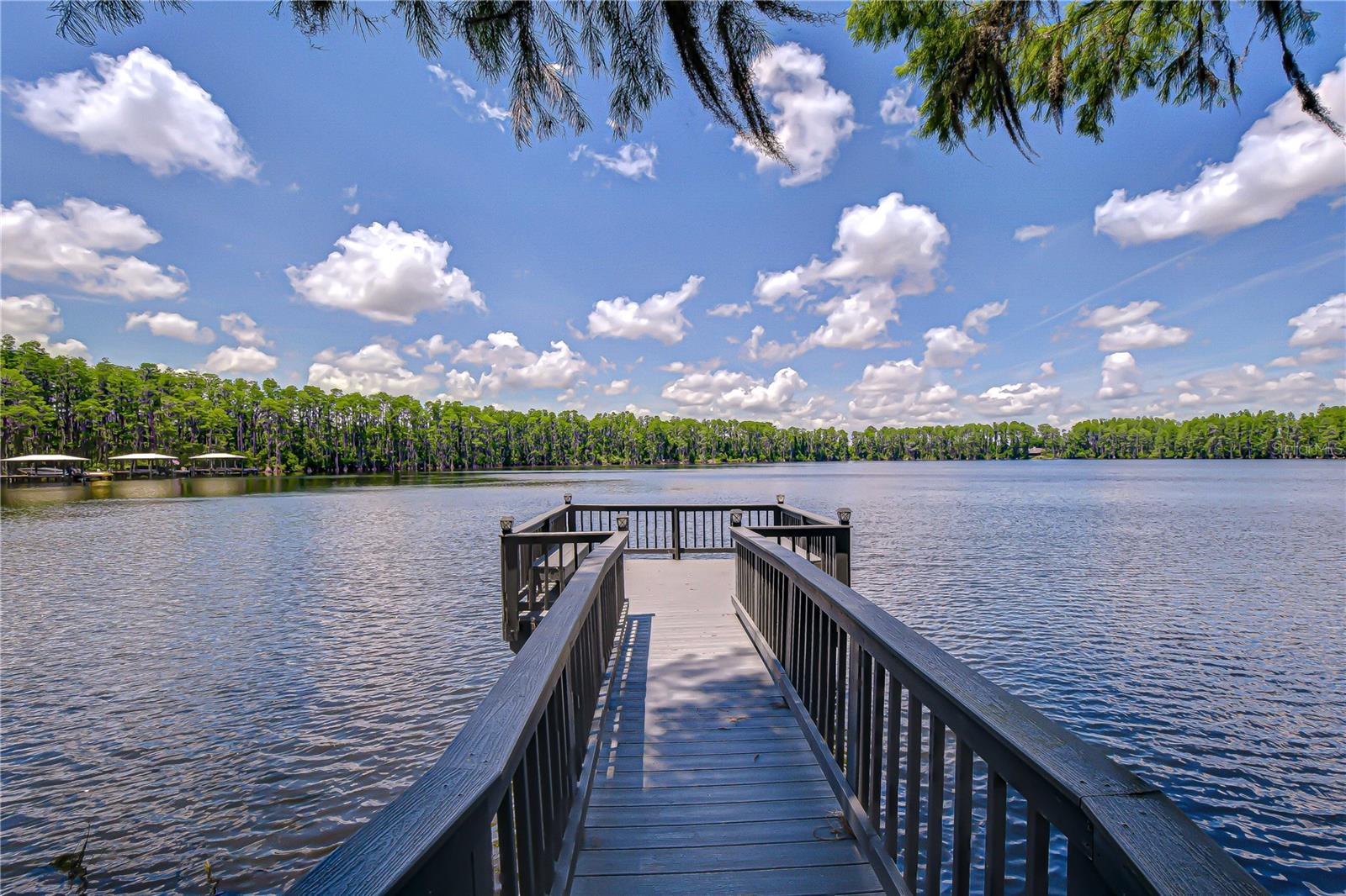 Listing photo id 39 for 20915 Lake Vienna Drive