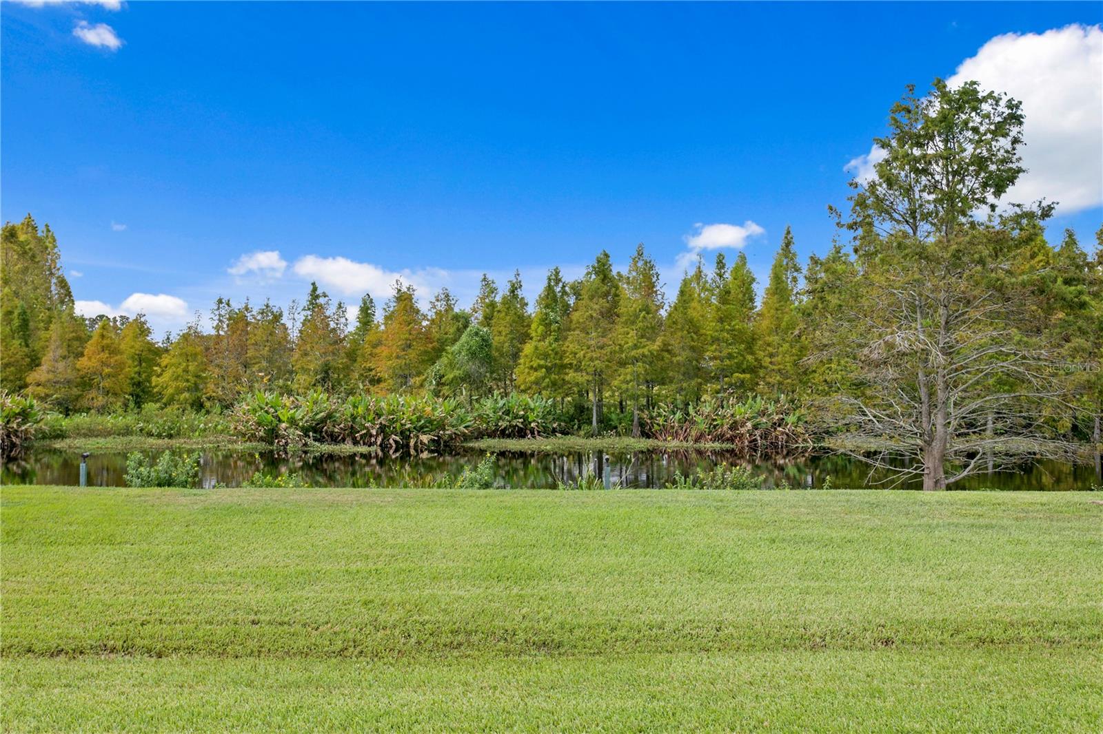 Image 85 of 95 For 10521 Broadland Pass