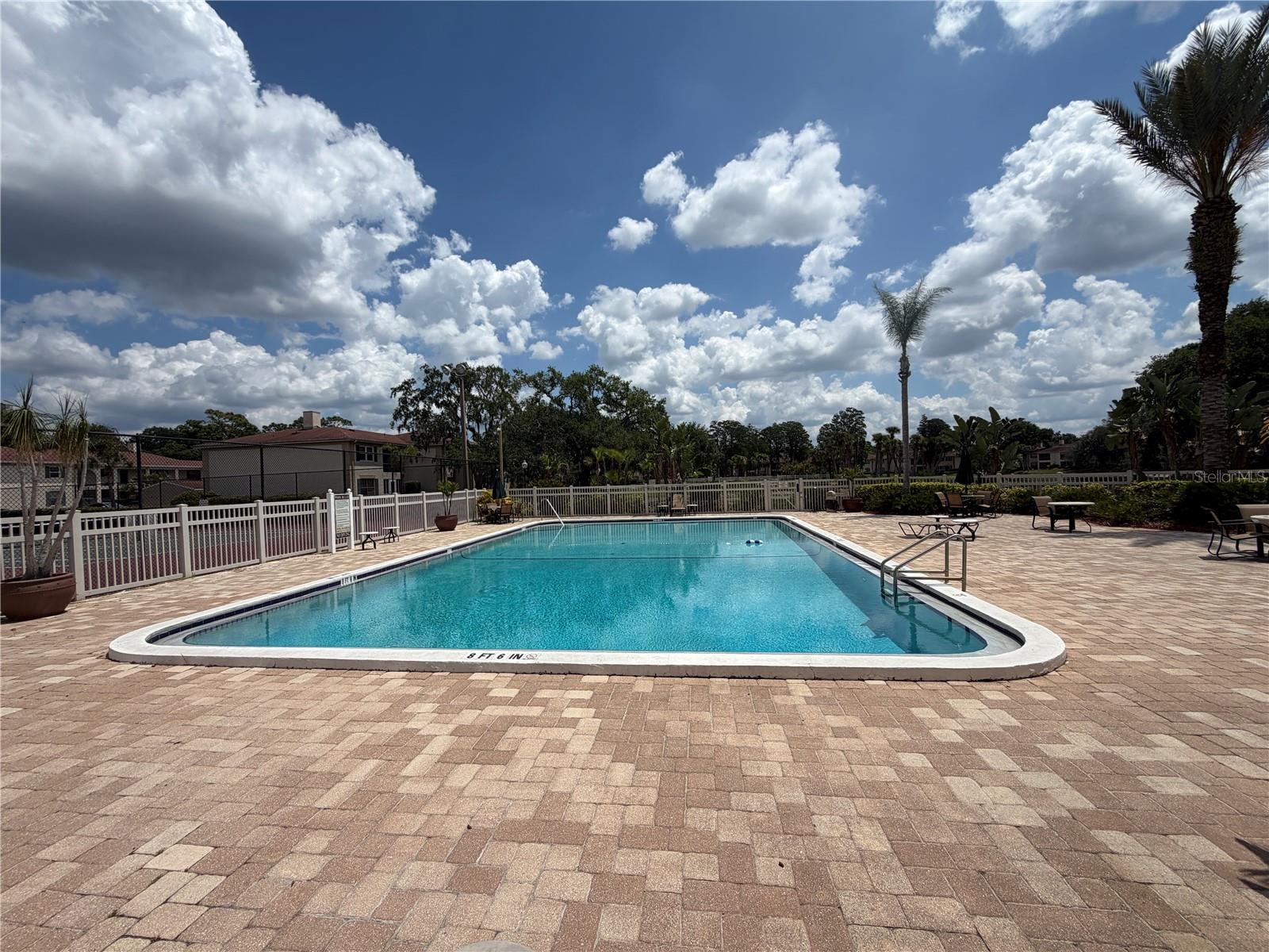 Image 17 of 27 For 10335 Carrollwood Lane 116