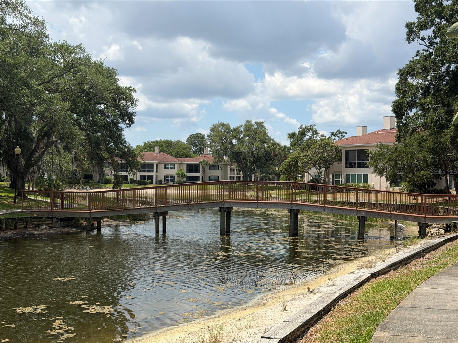 Image 18 of 27 For 10335 Carrollwood Lane 116