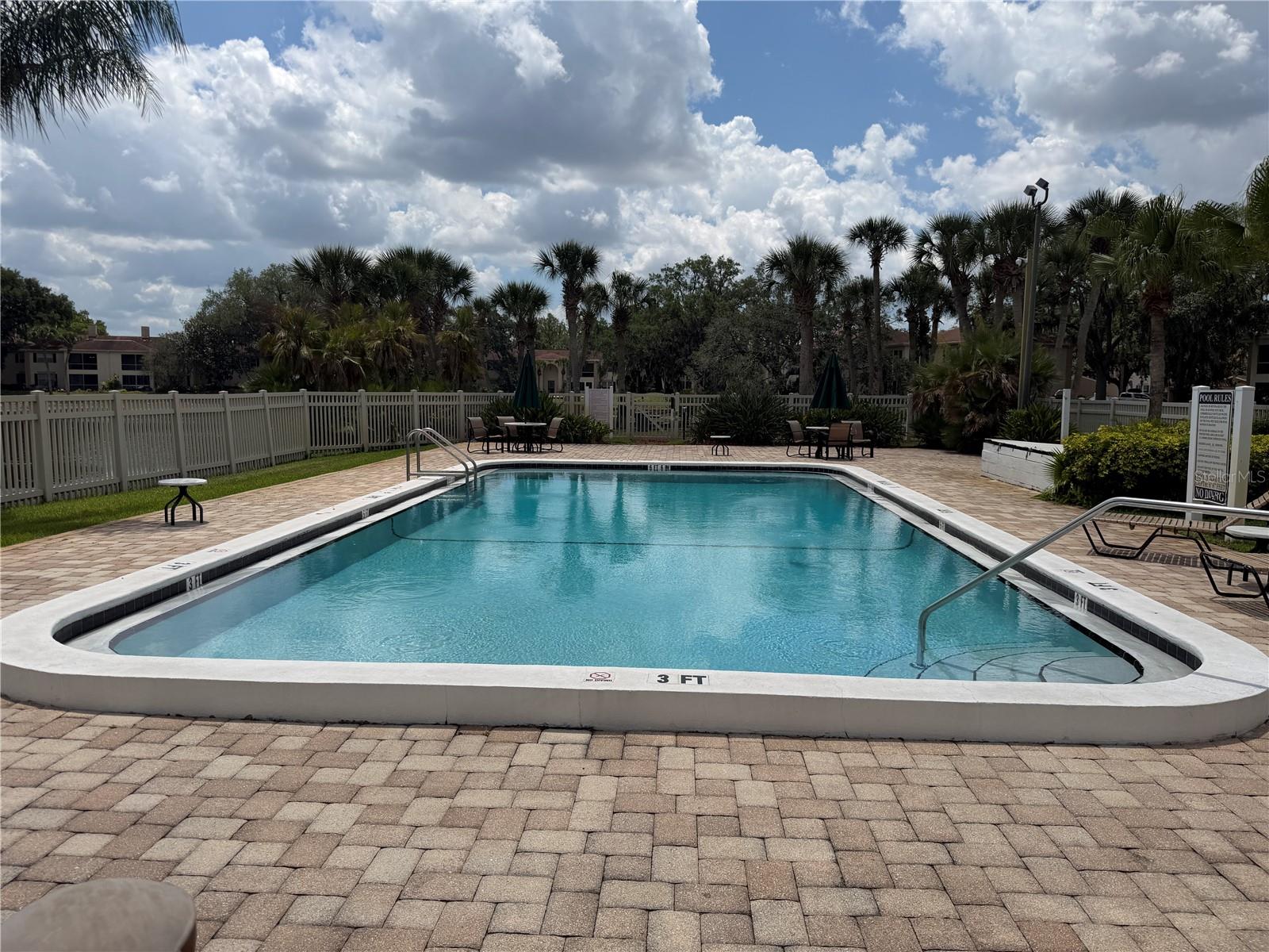 Image 19 of 27 For 10335 Carrollwood Lane 116